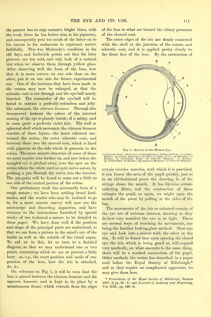 the painter has to copy nature's bright blues, with the weak blues he has before him in his pigments, and consequently puts too much of the latter on to his canvas in his endeavour to represent nature faithfully. This was Mulready's condition in his old days, and Leibreich points out that his later pictvires are too cold, and only look of a natural tint when we observe them through yellow glass. After observing well the form of the lens, how that it is more convex on one side than on the other, put it on one side for future exj)erimental iise. One of the incisions that have been made in tlie cornea may now be enlarged, so that the sclerotic coat is cut through and the eye-ball nearly bisected. The remainder of the eye-ball will be found to contain a perfectly colourless and jelly- like substance, the vitreous humour. Through this transparent humour the colour of the internal coating of the eye is plainly visible, of a satiny, and in some parts a perfectly violet tint. The wall or spherical shell which surrounds the vitreous humour consists of three layers—the inner coloured one, termed the retina, the outer sclerotic coat, and between these two the choroid coat, which is lined with pigment on the side which it presents to the retina. The more minute structure of some of these we must inquire into farther on, and now before the mangled eye is pitched away, note the spot on the retina where the white cord or optic nerve enters, by pushing a pin through the nerve into the interior. The pin-point will be found to come out a little to one side of the central portion of the retina. Owv preliminary work has necessarily been of a rough nature; we have been settling broad land- marks, and the reader who may be inclined to go in for a more minute survey will now use the microscope and dissecting apparatus, and have I'ecourse to the instructions furnished by special works of too technical a Jiature to be detailed in these pages. We have done well if the position and shape of the principal parts are understood, so that we can form a picture in the mind's eye of the inside as well as the outside of the visual organ. To aid us in this, let us turn to a finished diagi-am, so that we may understand one or two points concerning which we are at jjresent a little hazy—as, e.g., the exact position and mode of sus- pension of the lens, how the iris is attached, &c. (tc. On reference to Fig. 1, it will be seen that the lens is placed between the vitreous humour and the aqueous humour, and is kept in its place by a membranous frame, which extends from the edges of the lens to what are termed the ciliary pi-ocesses of the choroid coat. The outer edges of the iris are firmly connected with the shell at the junction of the cornea and sclerotic coat, and it is applied pretty closely to the front face of the lens. By the contraction of Fig. ].—Section of tlie Hniuau Eya. ((') Sclerotic Coat ;' (&) Coniea; (c) Conjunctiva ; (f) Ciioroid Coat: f/1 Ciliary Musclo; vj) Ciliary Processes; (W Iris; (?) Optic Nerve; (fcj Boundary of Itetina; (i) Crystalline Lena; ()?) Choroid Pigment; (o) Retina; (g) Yellow Spot of Retina ; (aj) Aqueous Humour ; (r) Vitreous Humour. certain circular muscles, with which it is provided, it can lessen the area of the pupil quickly, jttst as- in an old-fashioned purse the drawing to of the strings closes the mouth. It has likewise certain radiating fibres, and the contraction of these enlarges the pupil, as again, we might open the mouth of the purse by pulling at the sides of the bag. The movements of the iris or coloured curtain of the eye are of extreme interest, showing as they do how very sensitive the eye is to light. There are several ways of watching its movements, one being the familiar looking-glass method. Shut one eye and look into a mirror with the other at the iris. It will be found that upon opening the closed eye the iris, which is being gazed at, will ex2:)and very mai'kedly, or, what amounts to the same thing, there will be a marked contraction of the piipil. Other methods the writer has described in a paper read before the Royal Society of Edinburgh,* and as they require no complicated apparatus, we may give them here. * Proceedinris of the Royal Society of Edinhurf/h, Session 1878—9, pp. 36—8 ; and Journal of Anatomy and Physiologij, Vol. XIII., pp. 146—8.