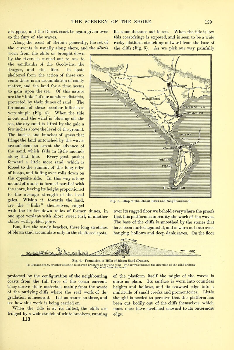 disappear, and tlie Dorset coast be again given over to the fury of the waves. Along the coast of Britain generally, the set of the currents is usually along shore, and the debris worn from the cliffs or brought down by the rivers is cairied out to sea to the sandbanks of the Goodwins, the Dogger, and the like. In spots sheltered from the action of these cur- rents there is an accumulation of sandy matter, and the land for a time seems to gain upon the sea. Of tliis nature are the links of our northern districts, protected by their dunes of sand. The formation of these peculiar hillocks is very simple (Fig. 4). When the tide is out and the wind is blowing off the sea, the dry sand is lifted by the gale a few inches above the level of the groiind. The bushes and bunches of grass that fi-inge the land untouched by the waves are sufficient to arrest the advance of the sand, which falls in little mounds along that line. Every gust pushes forward a little more sand, which is forced to the summit of the Ions: ridsre of heaps, and falling over rolls down on the opposite side. In this way a long mound of dunes is formed parallel with the shore, having its height proportioned to the average strength of the local gales. Within it, towards the land, are the  links themselves, ridged with the broken-down relics of former dunes, in one spot verdant with short sweet turf, in another ablaze with golden gorse. But, like the sandy beaches, these long stretches of blown sand accumulate only in the sheltered spots. for some distance out to sea. When the tide is low this coast-fringe is exposed, and is seen to be a wide rocky platform stretching outward from the base of the cliffs (Fig. 5). As we pick our way painfully 3.—Map of the Chesil Bank and Neighbourhood. over its rugged floor we behold eveiy where the proofs that this platform is in reality the work of the waves. The base of the cliffs is smoothed by the stones that have been hiirled against it, and is worn out into over- hanging hollows and deep dank caves. On the floor Pig. 4.—rormation of Hills of Blown Sand (Dunes). (a) Bushes, fence, or other obstacle to onward progress of drifting sand. The arrows indicate the direction of the wind drifting dry sand from the beach. protected by the configuration of the neighbouring coasts from the full force of the ocean current. They derive their materials mainly from the waste of the outlying cliffs where the real work of de- gradation is incessant. Let us return to these, and see how this work is being carried on. When the tide is at its fullest, the cliffs are fringed by a wide stretch of white breakers, running 113 of the platform itself the might of the waves is quite as plain. Its .surface is worn into countless heights and hollows, and its seaward edge into a multitude of small creeks and promontories. Little thought is needed to perceive that this platform has been cut bodily out of the cliffs themselves, which must once have stretched seaward to its outermost edge.