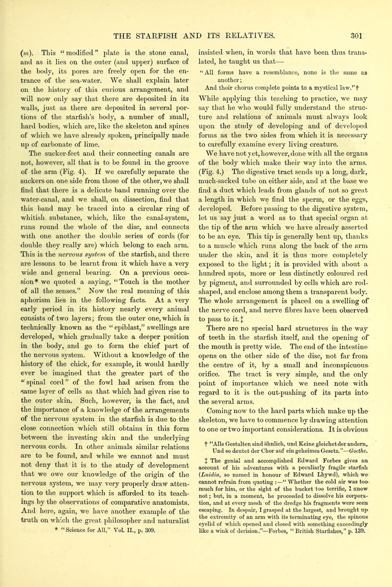 (m). This modified plate is the stone canal, and as it lies on the enter (and upper) surface of the body, its pores are fi-eely open for the en- trance of the sea-water. We shall explain later on the history of this curious arrangement, and will now only say that there are deposited in its walls, just as there are deposited in several por- tions of the starfish's body, a number of small, haz'd bodies, which are, like the skeleton and spines of which we have already spoken, principally made up of carbonate of lime. The sucker-feet and their connecting canals are not, however, all that is to be found in the groove of the arm (Fig. 4). If we carefully separate the suckers on one side from those of the other, we shall find that there is a delicate band running over the water-canal, and we shall, on dissection, find that this band may be traced into a circular ring of whitish substance, which, like the canal-system, runs round the whole of the disc, and connects with one another the double series of cords (for double they really are) which belong to each arm. This is the nervous system of the starfish, and there are lessons to be learnt from it which have a very wide and general bearing. On a previous occa- sion* we quoted a saying,  Touch is the mother of all the senses. Now the real meaning of this aj^horism lies in the following facts. At a very early period in its history nearly every animal consists of two layers; from the outer one, which is technically known as the  epiblast, swellings are developed, which gradually take a deeper position in the body, and go to form the chief part of the nervous system. Without a knowledge of the history of the chick, for example, it would hardly ever be imagined that the greater part of the spinal cord of the fowl had arisen from the •same layer of cells as that which had given rise to the outer skin. Such, however, is the fact, and the importance of a knowledge of the arrangements of the nervous system in the starfish is due to the close connection which still obtains in this form between the investing skin and the underlying nervous cords. In other animals similar relations are to be found, and while we cannot and must not deny that it is to the study of development that we owe our knowledge of the origin of the nervous system, we may very properly draw atten- tion to the support which is afforded to its teach- ings by the observations of comparative anatomists. And here, again, we have another example of the truth on which the great philosopher and naturalist * Science for All, Vol. II., p. 309. insisted when, in words that have been thus trans- lated, he taught us that—  All forms have a resomblanco, none is the same as another; And their chorus complete points to a mystical law.t While applying this teaching to practice, we may say that he who would fully understand the struc- ture and relations of animals must always look upon the study of developing and of developed forms as the two sides from which it is necessary to carefully examine every living creature. We have not yet,however, done with all the organs of the body which make their way into the arms. (Fig. 4.) The digestive tract sends up a long, dark, much-sacked tube on either side, and at the base we find a duct which leads from glands of not so great a length in which we find the sperm, or the eggs, developed. Before passing to the digestive system, let us say just a word as to that special oi-gan at the tip of the arm which we have already asserted to be an eye. This tip is generally bent up, thanks, to a muscle which runs along the back of the arm under the skin, and it is thus more completely exposed to the light; it is provided with about a. hundred spots, more or less distinctly coloured red by pigment, and surrounded by cells which are rod- shaped, and enclose among them a transparent body. The whole arrangement is placed on a swelling of the nerve cord, and nerve fibres have been observedl to pass to it. X There are no special hard structures in the way of teeth in the starfish itself, and the opening of the mouth is pretty wide. The end of the intestine opens on the other side of the disc, not far from the centre of it, by a small and inconspicuous- orifice. The tract is very simjjle, and the only point of importance which we need note with regard to it is the out-pushing of its parts intO' the several arms. Coming now to the hard parts which make up the- skeleton, we have to commence by drawing attention to one or two important considerations. It is obvious t Alle Gestalten sind ahnlich, imd Keine gleichetderanderii, Und so deutet der Chor auf ein geheimes Gesetz.—Goethe. X The genial and accomplished Edward Forbes gives art account of his adventures with a peculiarly fragile starfish (Luidia, so named in honour of Edward Lhywd), which we cannot refrain from quoting :— Whether the cold air was too' much for him, or the sight of the bucket too terrific, 1 iinow not; but, in a moment, he proceeded to dissolve his corpora- tion, and at every rnesh of the dredge his fragments were seen escaping. In despair, I grasped at the largest, and brought up the extremity of an arm with its terminating eye, the sijinous eyelid of which opened and closed with something exceedingly like a wink of derision.—Forbes,  British Starfishes, p. 139.