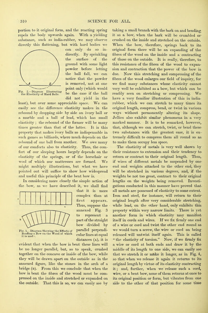 Fig. 2.—Diagram Illustrating the Elasticity of Hard Balls. portion to it original form, and the reacting spring repels the body upwards again. With a yielding substance, such as india-rubber, we may observe directly this flattening, but with hard bodies we can only do so iia- directly. By sprinkling the surface of the ground with some light powder before letting the ball fall, we can notice that the powder is removed, not at one point only (which would be the case if the ball did not yield in the least), but over some appreciable space. We can easily see the difference elasticity makes in the rebound by dropping side by side an ivory ball or a marble and a ball of lead, which has small elasticity ; the rebound of the former will be many times greater than that of the lattei. It is this pi'operty that makes ivory balls so indispensable in such games as billiards, where much depends on the rebound of one ball from another. We owe many of our comforts also to elasticity. Thus, the com- fort of our sleeping hours largely depends on the elasticity of the springs, or of the horsehair or wool of which our mattresses are formed. We miglit multiply illustrations, but what we have pointed out will suffice to show how widespread and useful this principle of the bent bow is. In considering more closely the simple action of the bow, as we have described it, we shall find that it is more Kg. 3.—Diagram Showing the Effects of Bending a Bow on the Wood of which it is mad ■. complex than at first appears. Tlius, suppose the annexed Fig. 3 to represent a part of the straight bow divided by parallel perpendi- cular lines at equal distances (a), it is evident that when the bow is bent these lines will be no longer parallel, but, so to sjieak, crushed together on the concave or inside of the bow, while they will be drawn apart on the outside as in the annexed figure, like the stones in the arch of a bridge (b). From this we conclude that when the bow is bent the fibres of the wood must be com- pressed on the inside and stretched or expanded on the outside. That this is so, we can easily see by taking a small branch with the bark on and bending-, it as a boW; when the bark will be cnimbled or- crushed on the inside and stretched on the outside. When the bow, therefore, springs back to its. original form there will be an expanding of the fibres of the wood on the inside and a conti-acting of those on the outside. It is really, therefore, to- this resistance of the fibres of the wood to expan- sion and conti-action that the power of the bow is. due. Now this stretching and compressing of the fibres of the wood enlarges our field of inquiry, for we find many substances whose elasticity cannot very well be exhibited as a bow, but which can be readily seen on stretching or compressing. We- have a very familiar illustration of this in india- rubber, which we can stretch to many times its- original length, compress, bend, or twist in various- ways without permanently altering its shape. Jellies also exliibit similar phenomena in a very marked manner. It is to be remarked, however,, that, although we can stretch, twist, or bend these two substances with the greatest ease, it is ex- tremely difficult to compress them all round so as to make them occupy less space. The elasticity of metals is very well shown by their resistance to extension and their tendency to- return or contract to their original length. Thus, if wires of different metals be suspended by one- end and weights attached to the other end, they will be stretched in various degi'ees, and, if the weights be not too great, contract to their original lengths on the weights being removed. Investi- gations conducted in this manner have proved that, all metals are possessed of elasticity to some extent. Iron and steel, for instance, will return to their- original length after very considerable stretching, while lead, on the other hand, only exhibits this property within veiy narrow limits. There is yet another form in which elasticity may manifest itself in cords and wires. If we fix firmly one end of a wire or cord and twist the other end round as- we would turn a sci'ew, the wire or cord on being- released will untwist itself again. This is called  the elasticity of torsion. Now, if we firmly fix a wii'e or cord at both ends and draw it by the middle of its length to one side, we can easily see- that we stretch it or make it longer, as in Fig. 4,. so that when we release it again it returns to its- original length by virtue of its elasticity contracting it; and, further, when we release such a cord, wire, or a bent bow, none of them returns at once to- its oiiginal position or form, but vibrates ffom one side to the other of that position for some tim&