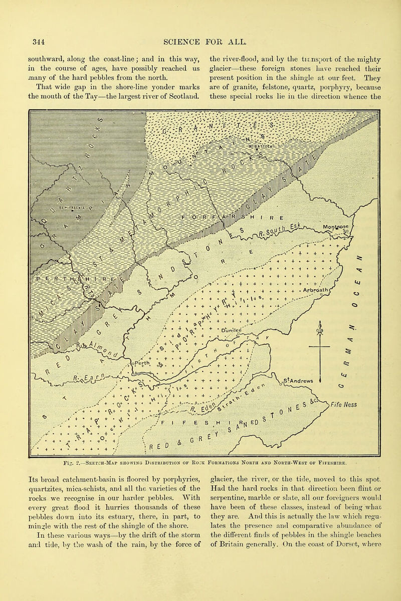 southward, along the coast-line; and in this way, the river-flood, and by the transport of the mighty in the course of ages, have possibly reached us glacier—these foreign stones have reached their many of the hard pebbles from the north. present position in the shingle at our feet. They That wide gap in the shore-line yonder marks are of granite, felstone, quartz, porphyry, because the mouth of the Tay—the largest river of Scotland. these special rocks lie in the direction whence the p .' 4 • + + • + 4 . ^ . . -. .... 4 . ^4 . • 4 • 4 4 • 4 • 4 ; \ 4 • ^ • 4 • 4 • 4 •. y F I F E S H 1 ED R E D G R Fife Ness Fi?. Sketch-Map showing Distribdtiox of E03k Formations North and North-West of Fifeshire. Its broad catchment-basin is floored by porphyries, quartzites, mica-schists, and all the varieties of the rocks we recognise in our harder pebbles. With every great flood it hurries thousands of these pebbles down into its estuary, there, in part, to min:^le with the rest of the shingle of the shore. In these various ways—by the drift of the storm and tide, by the wash of the rain, by the force of glacier, the river, or the tide, moved to this spot. Had the hard rocks in that direction been flint or serpentine, marble or slate, all our foreigners would have been of these classes, instead of being what they ai-e. And this is actually the law which regu- lates the presence and comparative abundance of the difierent finds of pebbles in the shingle beaches of Britain generally. On the coast of Dorset, where