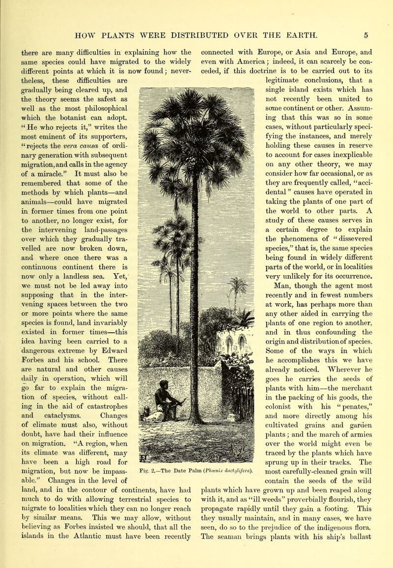 there are many cliiBculties in explaining how the same species coiild have migi'ated to the widely different points at which it is now found; never- theless, these difficulties are gradually being cleared up, and the theory seems the safest as well as the most philosophical which the botanist can adopt.  He who rejects it, writes the most eminent of its supporters, rejects the vera causa of ordi- nary generation with subsequent migration, and calls in the agency of a miracle. It must also be remembered that some of the methods by which plants—and animals—could have migrated in former times from one point to another, no longer exist, for the intervening land-passages over which they gradually tra- velled are now broken down, and where once there was a continuous continent there is now only a landless sea. Yet, we must not be led away into supposing that in the inter- vening spaces between the two or more points whei-e the same species is found, land invariably existed in foi'mer times—this idea having been carried to a dangerous extreme by Edwai'd Forbes and his school. There are natural and other causes daily in operation, which will go far to explain the migra- tion of species, without call- ing in the aid of catastrophes and cataclysms. Changes of climate must also, without doubt, have had their influence on migration. A region, when its climate was different, may have been a high road for migration, but now be impass- able. Changes in the level of land, and in the contoiir of continents, have had much to do with allowing terrestrial species to migrate to localities which they can no longer reach by similar means. This we may allow, without believing as Forbes insisted we should, that all the islands in the Atlantic must have been recently Fig. 2.—The Date Palm {Phcenu- dactylifera). connected with Europe, or Asia and Europe, and even with America; indeed, it can scarcely be con- ceded, if this doctrine is to be carried out to its legitimate conclusions, that a single island exists which has not recently been united to some continent or other. Assum- ing that this was so in some cases, without particularly speci- fying the instances, and merely holding these causes in reserve to account for cases inexplicable on any other theory, we may consider how far occasional, or as they are frequently called, acci- dental  causes have operated in taking the plants of one part of the world to other parts. A study of these causes serves in a certain degree to explain the phenomena of  dissevered species, that is, the same species being found in widely different parts of the world, or in localities very unlikely for its occurrence. Man, though the agent most recently and in fewest numbers at work, has perhaps more than any other aided in carrying the plants of one region to another, and in thus confounding the origin and distribution of species. Some of the ways in which he accomplishes this we have already noticed. Wherever he goes he carries the seeds of plants with him—the merchant in the packing of his goods, the colonist with his penates, and more directly among his cultivated grains and garden plants ; and the march of armies over the world might even be traced by the plants which have sprung up in their tracks. The most carefully-cleaned grain will contain the seeds of the wild plants which have grown up and been reaped along with it, and as ill weeds proverbially flourish, they propagate rapidly until they gain a footing. This they usually maintain, and in many cases, we have seen, do so to the pi'ejudice of the indigenous flora The seaman brings plants with his ship's ballast