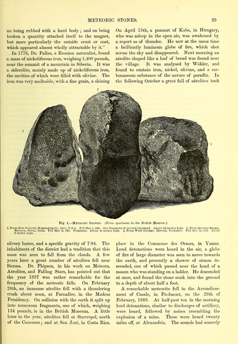 on being rubbed with a hard body ; and on being broken a quantity attached itself to the magnet, but more particularly the outside crust or coat, which appeared almost wholly attractable by it. In 1776, Dr. Pallas, a Russian naturalist, found a mass of nickeliferous iron, weighing 1,400 pounds, near the summit of a mountain in Siberia. It was a siderolite, mainly made up of nickeliferous iron, the cavities of which were filled with olivine. The iron was very malleable, with a fine grain, a shining On April 15th, a peasant of Kaba, in Hungary, who was asleep in the open air, was awakened by a report as of thunder. He saw at the same time a brilliantly luminous globe of fii'e, which shot acs'oss the sky and disappeared. Next morning an aerolite shaped like a loaf of bread was found near the village. It was analysed by Wbhler, and found to contain iron, nickel, olivine, and a car- bonaceous substance of the nature of paraflin. In the following- October a great fall of aerolites took Fig. 1.—Meteoric Stones. {From specimens in the British Museum.) I, rrom New Cnncord, MuBkingnim Co., Ohio, U.S.A.. Pell May 1, 1860. One frasment of several thousand. About lOJ inches hiab. 2, Prom Qutnhar Bazaar, Butsura, Sarun, India. Fell May 12,186L Fragment. About 13 inches high. 3, Prom Wold Cottage, Thwing, Yorkshire. Fell Dec. 13,1795. About 9 inches higli. silvery lustre, and a specific gravity of 7-84. The inhabitants of the district had a tradition that this mass was seen to fall from the clouds. A few years later a great number of aerolites fell near Sienna. Dr. Phipson, in his work on Meteors, Aerolites, and Falling Stars, has pointed out that the year 1857 was rather remarkable for the frequency of the meteoric falls. On February 28th, an immense aerolite fell with a thundering crash about noon, at Parnallee, in the Madras Presidency. On collision with the earth it split vip into numerous fragments, one of which, weighing 134 pounds, is in the British Museum. A little later in the year, aerolites fell at Stavropol, north of the Caucasus; and at San Jose, in Costa Rica. place in the Commune des Oiuues, in Yonne. Loud detonations were heard in the air, a globe of fire of large diameter was seen to move towards the earth, and presently a shower of stones de- scended, one of which passed near the head of a mason who was standing on a ladder. He descended at once, and found the stone sunk into the ground to a depth of about half a foot. A remarkable meteorite fell in the Arrondisse- ment of Casale, in Piedmont, on the 29th of February, 1868. At half-past ten in the morning loud detonations, similar to discharges of artilleiy, were heard, followed by noises resembling the explosion of a mine. These were heard twenty miles ofi, at Alexandria. The sounds had scarcely
