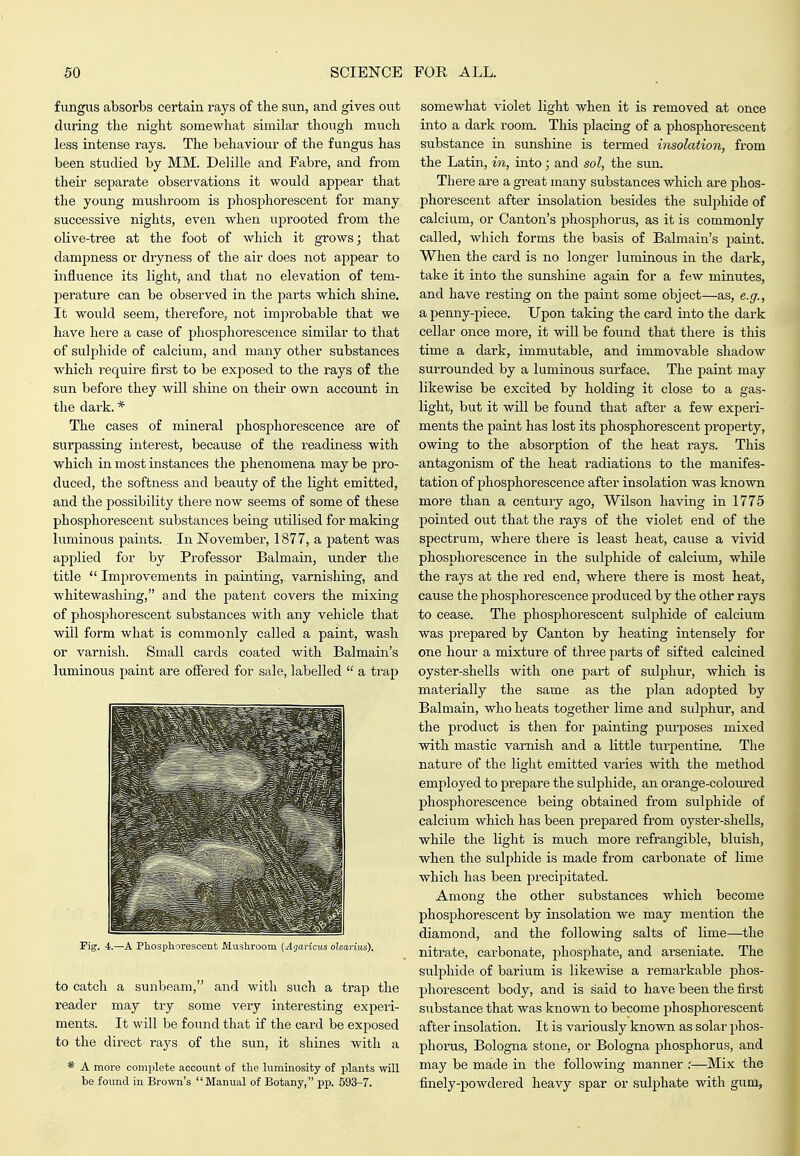 fungus absorbs certain rays of the sun, and gives out during the night somewhat similar though much less intense rays. The behaviour of the fungus has been studied by MM. Delille and Fabre, and from their sej^arate observations it would appear that the young mushroom is phosphorescent for many successive nights, even when uprooted from the olive-tree at the foot of which it grows; that dampness or dryness of the air does not appear to influence its light, and that no elevation of tem- perature can be observed in the parts which shine. It would seem, therefore, not improbable that we have here a case of phosphorescence similar to that of sulphide of calcium, and many other substances which require firet to be exjiosed to the rays of the sun before they will shine on their own account in the dark. * The cases of mineral phosphorescence are of surpassing interest, because of the readiness with which in most instances the phenomena may be pro- duced, the softness and beauty of the light emitted, and the possibility there now seems of some of these phosphorescent substances being utilised for making luminous paints. In November, 1877, a patent was applied for by Professor Balmain, under the title  Improvements in painting, varnishing, and whitewashing, and the patent covers the mixing of phosphorescent substances with any vehicle that will form what is commonly called a paint, wash or varnish. Small cards coated with Balmain's luminous paint are offered for sale, labelled  a trap Fig. 4.—A Pkosphorescent Mushroom {Agaricus olearius). to catch a sunbeam, and with such a trap the reader may try some very interesting experi- ments. It will be found that if the card be exposed to the direct rays of the sun, it shines with a * A more complete account of the luminosity of plants will be found in Brown's Manual of Botany, pp. 593-7. somewhat violet light when it is removed at once into a dark room. This placing of a phosphorescent substance in sunshine is termed insolation, from the Latin, in, into ; and sol, the sun. There are a great many substances which are phos- phorescent after insolation besides the sulphide of calcium, or Canton's phosphorus, as it is commonly called, which forms the basis of Balmain's paint. When the card is no longer luminous in the dark, take it into the sunshine again for a few minutes, and have resting on the paint some object—as, e.g., a penny-piece. Upon taking the card into the dark cellar once more, it will be found that there is this time a dark, immutable, and immovable shadow surrounded by a luminous surface. The paint may likewise be excited by holding it close to a gas- light, but it will be found that after a few experi- ments the paint has lost its phosphorescent property, owing to the absorption of the heat rays. This antagonism of the heat radiations to the manifes- tation of phosphorescence after insolation was known more than a century ago, Wilson having in 1775 pointed out that the rays of the violet end of the spectrum, where there is least heat, cause a vivid phosphorescence in the sulphide of calcium, while the rays at the red end, where there is most heat, cause the phosphorescence produced by the other rays to cease. The phosphorescent sulphide of calcium was prepared by Canton by heating intensely for one hour a mixture of three parts of sifted calcined oyster-shells with one part of sulphur, which is materially the same as the plan adopted by Balmain, who heats together lime and suljihur, and the product is then for painting purposes mixed with mastic varnish and a little tui-pentine. The nature of the light emitted varies with the method employed to prepare the sulphide, an orange-coloui'ed phosphorescence being obtained from sulphide of calcium which has been prepared from oyster-shells, while the light is much more refrangible, bluish, when the sulphide is made from carbonate of lime which has been precipitated. Among the other substances which become phosphorescent by insolation we may mention the diamond, and the following salts of lime—the nitrate, carbonate, phosphate, and ai'seniate. The sulphide of barium is likewise a remarkable phos- phorescent body, and is said to have been the first substance that was known to become phosphorescent after insolation. It is variously known as solar 2>hos- phorus, Bologna stone, or Bologna j^hosphorus, and may be made in the following manner .'—Mix the finely-powdered heavy spar or sulphate with gum,
