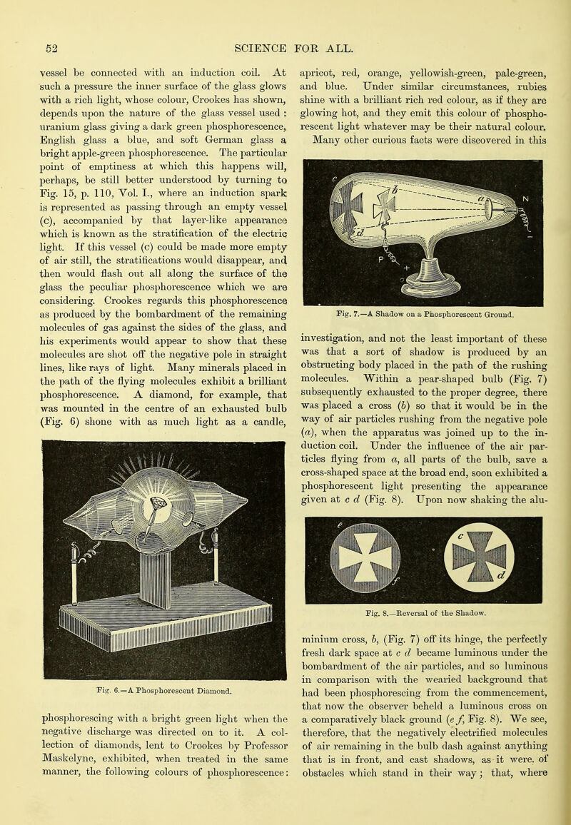 vessel be connected with an induction coil. At such a pressure the inner surface of the glass glows with a rich light, whose colour, Crookes has shown, depends ixpon the nature of the glass vessel used : uranium glass giving a dark green jihosphorescence, English glass a blue, and soft G-erman glass a bright apple-green phosphorescence. The particular point of emjitiness at which this haj^pens will, perhaps, be still better understood by turning to Fig. 15, p. 110, Yol. I., where an induction spark is represented as passing through an empty vessel (c), accompanied by that layer-like appearance which is known as the stratification of the electric light. If this vessel (c) could be made more empty of air still, the stratifications would disappear, and then would flash out all along the surface of the glass the peculiar phosphorescence which we are considering. Crookes regards this phosjjhorescence as produced by the bombardment of the remaining molecules of gas against the sides of the glass, and his experiments would appear to show that these molecules are shot off the negative pole in straight lines, like rays of light. Many minerals placed in the path of the flying molecules exhibit a brilliant phosi^horescence. A diamond, for example, that was mounted in the centre of an exhausted bulb (Fig. 6) shone with as much light as a candle, Pig. 6.—A Phosphorescent Diamond. phosphorescing with a bright green light when the negative discharge was directed on to it. A col- lection of diamonds, lent to Crookes by Professor Maskelyne, exhibited, when treated in the same manner, the following colours of phosphorescence: apricot, red, orange, yellowish-green, pale-green, and blue. Under similar cii-cumstances, rubies shine with a bi'illiant rich red colour, as if they are glowing hot, and they emit this colour of phospho- rescent light whatever may be their natural colour. Many other curious facts were discovered in this Fig. 7.—A Shadow on a Phosphorescent Ground. investigation, and not the least imjiortant of these was that a sort of shadow is produced by an obstructing body placed in the path of the rushing molecules. Within a pear-shaped bulb (Fig. 7) subsequently exhausted to the proper degree, there was placed a cross (6) so that it would be in the way of air particles rushing from the negative pole (a), when the apparatus was joined up to the in- duction coil. Under the influence of the air par- ticles flying from a, all pai-ts of the bulb, save a cross-shaped space at the broad end, soon exhibited a phosphorescent light jiresenting the appearance given at c (Fig. 8). Upon now shaking the alu- Fig. 8.—Eevei-sal of the Shadow. minium cross, b, (Fig. 7) off' its hinge, the perfectly fresh dark space at c d became luminous under the bombardment of the air particles, and so luminous in comparison with the wearied background that had been phosphorescing from the commencement, that now the observer beheld a luminous cross on a comparatively black ground (e J, Fig. 8). We see, therefore, that the negatively electrified molecules of air remaining in the bulb dash against anything that is in front, and cast shadows, as it were, of obstacles which stand in their way; that, where