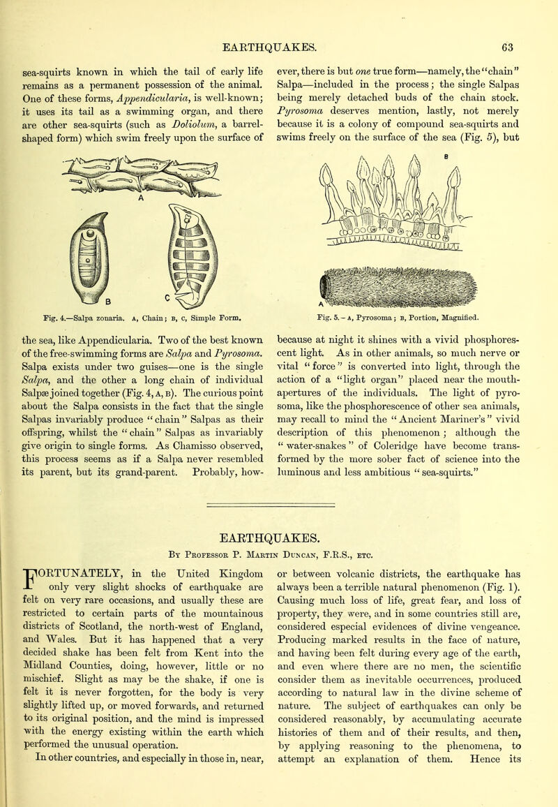 sea-squirts known in which the tail of early life remains as a permanent possession of the animal. One of these forms, Appendicularia, is well-known; it uses its tail as a swimming organ, and there are other sea-squirts (such as Dolioliim, a barrel- shaped form) which swim freely upon the surface of Pig. 4.—Salpa zonaria. A, Chain; B, c, Simple Form, the sea, like Appendicularia. Two of the best known of the free-swimming forms are Salpa and Pyrosoma. Salpa exists under two guises—one is the single Salpa, and the other a long chain of individual Salpse joined together (Fig. 4, A, b). The curious point about the Salpa consists in the fact that the single Salpas invai'iably produce  chain  Salpas as theii* offspring, whilst the  chain Salpas as invariably give origin to single forms. As Chamisso observed, this process seems as if a Salpa never resembled its parent, but its grand-parent. Probably, how- ever, there is but one true form—namely, the chain  Salpa—included in the process; the single Salpas being merely detached buds of the chain stock. Pyrosoma deserves mention, lastly, not merely because it is a colony of compound sea-squirts and swims freely on the surface of the sea (Fig. 5), but rig. 5. - A, Pyrosoma ; B, Portion, Magnified. because at night it shines with a vivid phosphores- cent light. As in other animals, so much nerve or vital  force  is converted into light, through the action of a light organ placed near the moutli- apertux-es of the individuals. The light of pyro- soma, like the phosphorescence of other sea animals, may recall to mind the Ancient Mariner's vivid description of this phenomenon; although the  water-snakes  of Coleridge have become trans- formed by the more sober fact of science into the luminous and less ambitious  sea-squirts. EARTHQUAKES. By Professor P. Martin DujiCAX, F.E.S., etc. FORTUNATELY, in the United Kingdom only very slight shocks of earthquake are felt on very rare occasions, and usually these are restricted to certain parts of the mountainous districts of Scotland, the north-west of England, and Wales. But it has happened that a very decided shake has been felt from Kent into the Midland Counties, doing, however, little or no mischief. Slight as may be the shake, if one is felt it is never forgotten, for the body is very slightly lifted up, or moved forwards, and returned to its original position, and the mind is impressed with the energy existing within the earth which performed the unusual operation. In other countries, and especially in those in, near, or between volcanic districts, the earthquake has always been a terrible natural phenomenon (Fig. 1). Causing much loss of life, great fear, and loss of property, they were, and in some countries still are, considered especial evidences of divine vengeance. Producing marked results in the face of nature, and having been felt during every age of the earth, and even where there are no men, the scientific consider them as inevitable occurrences, produced according to natural law in the divine scheme of nature. The subject of earthquakes can only be considered reasonably, by accumulating accurate histories of them and of their results, and then, by applying reasoning to the phenomena, to attempt an explanation of them. Hence its