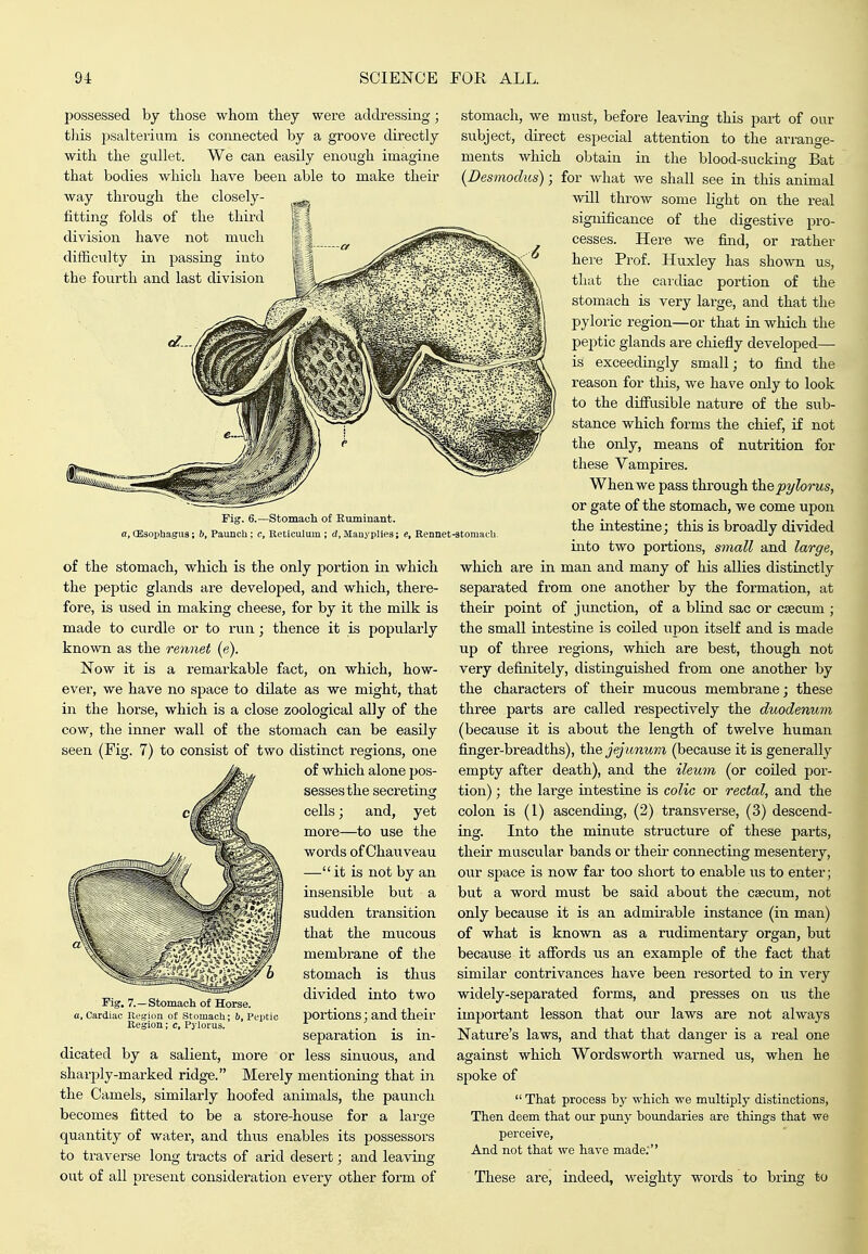 possessed by those whom they were addressing; this psalterium is connected by a groove directly with the gullet. We can easily enough imagine that bodies which have been able to make their way through the closely- fitting folds of the third division have not much difficulty in passing into the fourth and last division Pig. 6.—Stomach of Buminant. a, CEsophagus; b. Paunch; c. Reticulum ; d, Manyplies; e, Rennet-stomacU. of the stomach, which is the only portion in which the peptic glands are developed, and which, there- fore, is used in making cheese, for by it the milk is made to curdle or to run; thence it is popularly known as the rennet (e). Now it is a remarkable fact, on which, how- ever, we have no space to dilate as we might, that in the horse, which is a close zoological ally of the cow, the inner wall of the stomach can be easily seen (Fig. 7) to consist of two distinct regions, one of which alone pos- sesses the secreting cells; and, yet more—to use the words of Chauveau —it is not by an insensible but a sudden transition that the mucous membrane of the stomach is thus divided into two portions; and their separation is in- dicated by a salient, more or less sinuous, and sharply-marked ridge. Merely mentioning that in the Camels, similarly hoofed animals, the paunch becomes fitted to be a store-house for a large quantity of water, and thus enables its possessors to traverse long tracts of arid desert; and leaving out of all present consideration every other form of Fig. 7.—stomach of Horse. a. Cardiac Rt-gion of Stomach; b. Peptic Region; c, Pylorus. stomach, we must, before leaving this part of our subject, direct especial attention to the arrange- ments which obtain in the blood-sucking Bat (Desmodus); for what we shall see in this animal will throw some light on the real significance of the digestive pro- cesses. Here we find, or rather here Prof. Huxley has shown us, that the cardiac portion of the stomach is very large, and that the pyloric region—or that in which the peptic glands are chiefly developed— is exceedingly small; to find the reason for this, we have only to look to the diffusible nature of the sub- stance which forms the chief, if not the only, means of nutrition for these Vampires. When we pass through thepyhrus, or gate of the stomach, we come upon the intestine; this is broadly divided into two portions, small and large, which are in man and many of his allies distinctly separated from one another by the formation, at their point of junction, of a blind sac or caecum ; the small intestine is coiled upon itself and is made up of three regions, which are best, though not very definitely, distinguished from one another by the characters of their mucous membrane; these three parts are called respectively the duodenum (because it is about the length of twelve human finger-breadths), the jejunum (because it is generally empty after death), and the ileum (or coiled por- tion) ; the large intestine is colic or rectal, and the colon is (1) ascending, (2) transverse, (3) descend- ing. Into the minute structure of these parts, their muscular bands or then connecting mesentery, our space is now far too short to enable us to enter; but a word must be said about the csecum, not only because it is an admii-able instance (in man) of what is known as a rudimentary organ, but because it afibrds us an example of the fact that similar contrivances have been resorted to in very widely-separated forms, and presses on us the important lesson that our laws are not always Nature's laws, and that that danger is a real one against which Wordsworth warned us, when he spoke of  That process by which we multiply distinctions, Then deem that our puny boundaries are things that we perceive, And not that we hare made. These are, indeed, weighty words to bring to