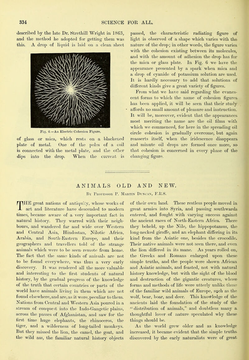 described by the late Dr. Strotliill Wright in 1863, and the method he adopted for getting them was this. A drop of liquid is laid on a clean sheet Fig. 6.—Au Electric Cohesion Figiu-e. of glass or mica, which rests on a blackened plate of metal. One of the poles of a coil is connected with the metal plate, and the other dips into the drop. When the current is passed, the characteristic radiating figure of light is observed of a shape which varies with the nature of the drop; in other words, the figure varies with the cohesion existing between its molecules, and with the amount of adhesion the drop has for the mica or glass plate. In Fig. 6 we have tlie appearance presented by a spark when mica and a drop of cyanide of potassium solution are used. It is hardly necessary to add that solutions of different kinds give a great variety of figures. From what we have said regarding the evanes- cent forms to which the name of cohesion figures- has been applied, it will be seen that their study afibrds no small amount of j^leasure and instruction. It will be, moreover, evident that the appearances most meriting the name are the oil films with which we commenced, foi' here in the spreading oil circle cohesion is gradually overcome, but again reasserts itself, when the iridescence disappears and minute oil drops are formed once more, so tliat cohesion is concerned in every phase of th& changing figure. AKIMALS OLD AND NEW. Bv ruoi-Essoii p. Mautix Dcncax, F.E.S. THE great nations of antiquil^y, whose works of art and literature have descended to modern times, became aware of a very important fact in natural history. They warred witla their neigh- bours, and wandered far and wide over Western and Central Asia, Hindostan, Nilotic Africa, Arabia, and South-Eastern Europe, and their geographers and travellers told of the strange animals which were to be seen-remote fi'om home. The fact that the same kinds of animals are not to be found everywhere, was thus a very early discovery. It was rendered all the more valuable and interesting to the first students of natural history, by the gradual progress of the knowledge of the truth that certain countries or parts of tlie world have animals living in them Avhich are not found elsewhere, and are, as it were, peculiar to them. Nations from Central and Western Asia poured in a stream of conquest into the Indo-Gangetic plains, aci-oss the passes of Afghanistan, and saw for the first time huge elephants, the rhinoceros, the tiger, and a wilderness of long-tailed monkeys. But they missed the lion, the camel, tlie goat, and the Avild ass, the familiar natural history objects of their own land. These restless people moved in great armies into Syria, and passmg southwards^ entered, and fought with varying success against the ancient races of Nortli-Eastern Africa. There they beheld, up the Nile, the hippopotamus, the long-necked girafife, and an elephant difiering in its. kind from the Asiatic one, besides tlie crocodile. Their native animals were not seen there, and even the lion differed in its mane. As years rolled on, the Greeks and Romans enlarged upon these simple truths, and the people were shown African and Asiatic animals, and feasted, not with natural history knowledge, but Avith the sight of the blood and destruction of the gigantic ci'eatures, Avliose' forms and methods of life Avere utterly unlike tiioso of the familiar wild animals of Europe, sijch as the Avolf, bear, boar, and deer. Tliis kiioA^'ledge of the ancients laid the foundation of the study of the  distribution of animals, and doubtless many a. thoughtful lover of nature speculated why these things should be. As the Avorld grew older and as knowledge increased, it became evident that the simple truths discovered by the early naturalists were of great