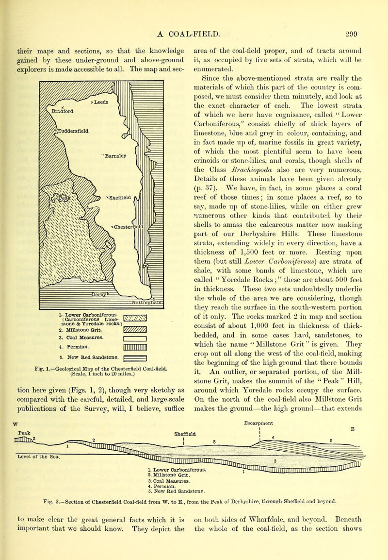 their maps and sections, so that the knowledge gained by these under-ground and above-ground explorers is made accessible to all. The map and sec- 1. Lo-wer Cartioniferous i v, ^ ^. k ki CCarlDoniferOTis Lime- 1-'^ v^,^ 0.\1 sxone & Yoredale rocks.) _ 2. MlUstone Grit. 3. Coal Measures. p 4.. Permian. 5. New Red Sandstone. Fig. 1.—Geological Map of the Chesterfield Coal-field. (Scale, 1 inch to £0 miles.) tion here given (Figs. 1, 2), though very sketchy as compared with the careful, detailed, and large-scale publications of the Survey, will, I believe, suffice area of the coal-field proper, and of tracts ai'ound it, as occupied by live sets of strata, whicli will be enumerated. Since the above-mentioned strata are really the materials of which tliis part of the country is com- posed, we must consider them minutely, and look at the exact character of each. The lowest strata of which we here have cognisance, called Lower Carboniferous, consist chiefly of thick layei'S of limestone, Ijlue and grey in colour, containing, and in fact made up of, marine fossils in gi-eat vaiiety, of which the most plentiful seem to have been crinoids or stone-lilies, and corals, thougli sliells of the Class Brachiopocla also ai-e ^'ery numerous. Details of these animals have been given already (p. 37). We have, in fact, in some places a coral reef of those times; in some places a reef, so to say, made \\\} of stone-lilies, while on either grew numerous other kinds that contributed by their shells to amass the calcareous matter now making part of our Derbyshire Hills. These limestone strata, extending widely in every direction, have a thickness of 1,500 feet or more. Resting upon them (but stUl Lower Carboniferous) are strata of shale, with some bands of limestone, which are called  Yoredale Rocks ; these :ue about 500 feet in thickness. These two sets undoubtedly underlie the whole of the area we are considering, though they reach the surface in the south-western jjortion of it only. The rocks marked 2 in map and section consist of about 1,000 feet in thickness of thick- bedded, and in some cases hard, sandstones, to which the name  Millstone Grit is given. Tliey crop out all along tlie west of the coal-field, making the beginning of the high ground that there bounds it. An outlier, or separated portion, of the Mill- stone Grit, makes the summit of the Peak Hill, around which Yoredale rocks occupy the surface. On the north of the coal-field also JNIillstone Grit makes the ground—the hijjli ground—that extends Escarpment 1. Lower Carboniferous. 2. MUlstone Grit. 3. Coal Measures. 4. Permian. 5. New Red Sandstone. Fig. 2.—Section of Chesterfield Coal-field from VT. to E., from the Peak of Derbyshire, through Sheffield and beyond. to make clear the great general facts which it is on both sides of Wharfdale, and beyond. Beneath important that we should know. They depict the the whole of the coal-field, as the section shows