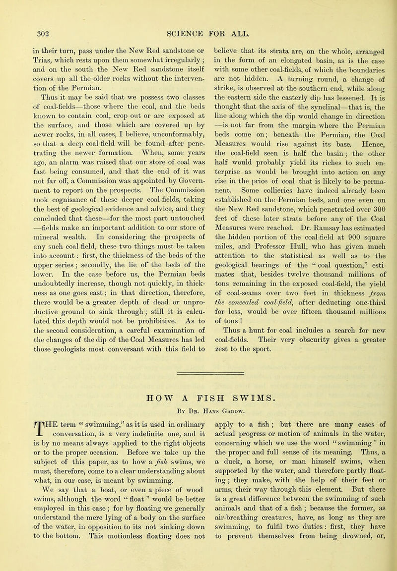 in their turn, pass under the New Red sandstone or Trias, which rests upon them somewhat irreguh\rly ; and on the soutli the New Red sandstone itself covers up all the older rocks without the interven- tion of the Permian. Thus it may be said that we possess two classes of coal-fields—those where the coal, and the beds known to contain coal, crop out or are exposed at the surface, and those which are covered up by newer rocks, in all cases, I believe, unconformably, so that a deep coal-field will be found after pene- trating the newer formation. When, some years a2:o, an alarm was raised that our stoi'e of coal was fast being consumed, and that the end of it was not far off, a Commission was appointed by Govern- ment to report on the prospects. The Commission took cognisance of these deeper coal-fields, taking the best of geological evidence and advice, and they concluded that these—for the most ])avt untouched ■—fields make an important addition to our store of mineral wealth. In considering the prospects of any such coal-field, these two things must be taken into account: first, the thickness of the beds of the upper series; secondly, the lie of the beds of the lower. In the case before us, the Permian beds undoubtedly increase, though not qixickly, in thick- ness as one goes east; in that direction, therefore, there would be a greater depth of dead or unpro- ductive ground to sink through; still it is calcu- lated this depth would not be prohibitive. As to the second consideration, a careful examination of the changes of the dip of the Coal Measui-es has led those geologists most conversant with this field to believe that its strata are, on the whole, arranged in the form of an elongated basin, as is the case with some other coal-fields, of which the boundaries are not hidden. A turning round, a change of strike, is observed at the southern end, while along the eastern side the easterly dip has lessened. It is thought that the axis of the synclmal—that is, the line along which the dip would change in direction —is not far from the margin where the Permian beds come on; beneath the Permian, the Coal Measures would rise against its base. Hence, the coal-field seen is half the basm; the other half would probably yield its riches to such en- terprise as would be brought into action on any rise in the price of coal that is likely to be perma- nent. Some collieries have indeed already been established on the Permian beds, and one even on the New Red sandstone, which penetrated over 300 feet of these later strata before any of the Coal Measures were reached. Dr. Ramsay has estimated the hidden portion of the coal-field at 900 square miles, and Professor Hull, who has given much attention to the statistical as well as to the geological bearings of the  coal question, esti- mates that, besides twelve thousand millions of tons remaining in the exposed coal-field, the yield of coal-seams over two feet iir thickness Jrom the cmicealed coal-field, after deducting one-third for loss, would be over fifteen thousand millions of tons ! Thus a hunt for coal includes a search for new coal-fields. Their very obscurity gives a greater zest to the sport. HOW A FISH SWIMS. By Db. Hans Gadow. THE term  swimming, as it is used in ordinary conversation, is a very indefinite one, and it is by no means always applied to the right objects or to the proper occasion. Before we take up the subject of this paper, as to how a fish swims, we must, therefore, come to a clear understanding about what, in our case, is meant by swimming. We say that a boat, or even a piece of wood swims, although the word  float  would be better employed in this case; for by floating we generally understand the mere lying of a body on the surface of the water, in opposition to its not sinking down to the bottom. This motionless floating does not apply to a fish; but there are many cases of actual progress or motion of animals in the water, concerning which we use the word swimming in the proper and full sense of its meaning. Thus, a a duck, a horse, or man himself swims, when supported by the water, and therefore partly float- ing ; they make, with the help of their feet or arms, their Avay through this element. But there is a great difference between the swimming of such animals and that of a fish ; because the former, as aii'-breathing creatui'cs, have, as long as they are swimming, to fulfil two duties: fiist, they have to prevent themselves from being drowned, or, J