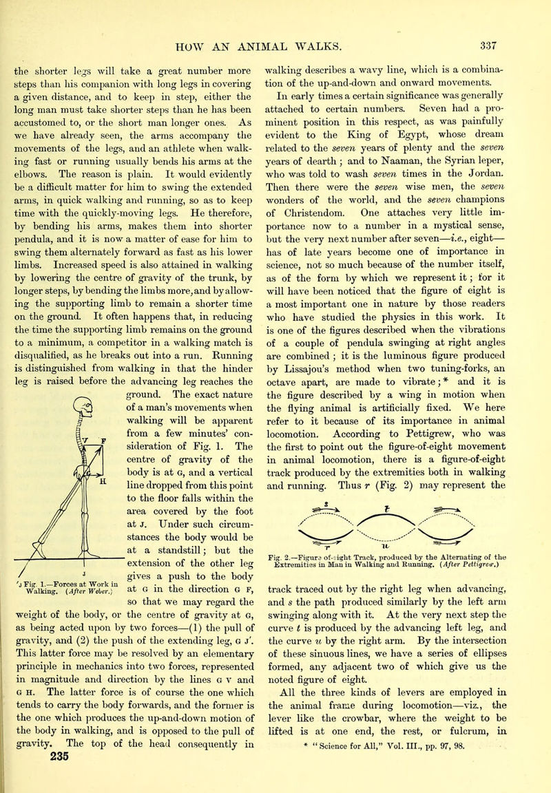 the shorter legs will take a great number more steps than his companion with long legs in covering a given distance, and to keep in step, either the long man must take shorter steps than he has been accustomed to, or the short man longer ones. As we have already seen, the arms accompany the movements of the legs, and an athlete when walk- ing fast or running usually bends his arms at the elbows. The reason is plain. It would evidently be a difficult matter for him to swing the extended arms, in quick walking and running, so as to keep time with the quickly-moving legs. He therefore, by bending his arms, makes them into shorter pendula, and it is now a matter of ease for him to swing them alternately forward as fast as his lower limbs. Increased speed is also attained in walking by lowering the centre of gi'avity of the trimk, by longer steps, by bending the limbs more, and by allow- ing the supporting limb to remain a shorter time on the ground. It often happens that, in reducing the time the supporting limb remains on the ground to a minimum, a competitor in a walking match is disqualified, as he breaks out into a run. Running is distinguished from walking in that the hinder leg is raised before the advancing leg reaches the ground. The exact nature of a man's movements when walking will be apparent from a few minutes' con- sideration of Fig. L The centre of gravity of the body is at G, and a vertical line dropped from this point to the floor falls within the area covered by the foot at J. Under such circum- stances the body would be at a standstill; but the extension of the other leg gives a push to the body at G in the direction g f, so that we may regard the weight of the body, or the centre of gravity at G, as being acted upon by two forces—^(1) the pull of gravity, and (2) the push of the extending leg, G j'. This latter force may be resolved by an elementary principle in mechanics into two forces, represented in magnitude and direction by the lines g v and G H. The latter force is of course the one which tends to carry the body forwards, and the former is the one which produces the iip-and-down motion of the body in walking, and is opposed to the pull of 235 'j Fig. 1.—Forces at Work iu Walking. (After Weber.) walking describes a wavy line, which is a combina- tion of the up-and-down and onward movements. In early times a certain significance was generally attached to certain numbers. Seven had a pro- minent position in this respect, as was painfully evident to the King of Egypt, whose dream related to the seven years of plenty and the seven years of dearth ; and to Naaman, the Syrian leper, who was told to wash seven times in the Jordan. Then there were the seven wise men, the seven wonders of the world, and the seven champions of Christendom. One attaches very little im- portance now to a number in a mystical sense, but the very next number after seven—i.e., eight— has of late years become one of importance in science, not so much because of the number itself, as of the form by which we represent it; for it will have been noticed that the figure of eight is a most important one in nature by those readers who have studied the physics in this work. It is one of the figures described when the vibrations of a couple of pendula swinging at right angles are combined ; it is the luminous figure produced by Lissajou's method when two tuning-forks, an octave apart, are made to vibrate; * and it is the figure described by a wing in motion when the flying animal is artificially fixed. We here refer to it because of its importance in animal locomotion. According to Pettigrew, who was the first to point out the figure-of-eight movement in animal locomotion, there is a figure-of-eight track produced by the extremities both in walking and running. Thus r (Fig. 2) may represent the Fig. 2.—Figure of-;igbt Track, produced by the Alternating o£ the Extremities in Man in Walking and Running. {After Pettigrea-.) track traced out by the right leg when advancing, and s the path produced similarly by the left arm swinging along with it. At the very next step the curve t is produced by the advancing left leg, and the curve u by the right arm. By the intersection of these sinuous lines, we have a series of ellipses formed, any adjacent two of which give us the noted figure of eight. All the three kinds of levers are employed in the animal frame during locomotion—viz., the lever like the crowbar, where the weight to be lifted is at one end, the rest, or fulcrum, in