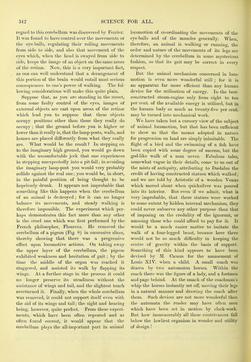 regard to this cerebellum was discovered by Ferrier. It was found to have control over the movements ot the eye-balls, regulating their rolling movements from side to side, and also that movement of the eyes Avhich, when the head is swayed from side to side, keeps the image of an object on the same areas of the retinae. Now, this is a very important fact, as one can well understand that a derangement of this portion of the brain would entail most serious consequences to one's power of walking. The fol- lowing considerations Avill make this quite plain. Suppose that, as you are standing in the street, from some faulty control of the eyes, images of external objects are cast upon areas of the retinae which lead you to suppose that these objects occupy positions other than those they I'eally do occupy; that the ground before you is higher or lower than it really is, that the lamp-posts, walls, and houses are placed differently from what they really are. What would be the result 1 In stepping on to the imaginary liigh ground, you would go down with the uiicomfortable jerk that one experiences in stepping unexpectedly into a pit-fall; in avoiding the imaginary lamp-post you would very probably collide against the real one; you would be, in short, in the painful position of being thought to be hopelessly drunk. It appears not improbable that something like this happens when the cerebellum of an animal is destroyed; for it can no longer balance its movements, and steady walking is therefore impossible. The experiment which per- haps demonstrates this fact more than any other is the cruel one which was first perfoi'med by the French philosopher, Flourens. He removed the cerebellum of a pigeon (Fig. 8) in successive slices, thereby showing that there was a progressive effect upon locomotive actions. On taking away the upper layer of the cerebellum, the pigeon exhibited weakness and hesitation of gait; by the time the middle of the organ was reached it staggered, and assisted its walk by flapping its Avings. At a further stage in the process it could no longer preserve its steadiness without the assistance of wings and tail, and the slightest touch overturned it. Finally, when the whole cerebellum was removed, it could not suj^port itself OA^en with the aid of its wings and tail; the sight and hearing being, hoAvever, quite perfect. From these experi- ments, Avhich have been often repeated and as often found correct, it Avould appear that the cerebellum plays the all-important part in animal locomotion of co-ordinating the movements of the eye-balls and of the muscles generally. When, therefore, an animal is Avalking or running, the order and nature of the movements of its legs are determined by the cerebellum in some mysterious fashion, so that its gait may be coiTect in every respect. But the animal mechanism concerned in loco- motion is even more Avonderful still ; for it is an apparatus far more efficient than any human device for the utilisation of energy. In the best- constructed steam-engine only from eight to ten per cent, of the available energy is utilised, Imt in the human body as much as twenty-five per cent, may be turned into mechanical Avork. We have taken but a cursory view of the subject of animal locomotion, but that has been sufficient to sliOAv us that the means adopted in nature for progression on land are simply inimitable. Tiie flight of a bird and the SAvimming of a fish have been copied with some degree of success, but the god-like Avalk of a man never. Fabulous tales, somewhat vague in their details, come to us out of the mists of antiquity, attributing to Daedalus the credit of having constructed statues which Avalked; and Ave are told by Aristotle of a Avooden Yenus which moved about Avhen quicksilver Avas poured iirto its interior. But even if Ave admit, Avhat is A'ery improbable, that these statues Avere Avorked to some extent by hidden internal mechanism, they could never subserve any other purpose than that of imposing on the credulity of the ignorant, or amusing those who could aflford to pay for it. It would be a much easier matter to imitate the Avalk of a four-legged beast, because here there Avould not be so much difficulty in keeping the ceirtre of gravity within the basis of support. Something of this kind appears to have been devised by M. Camus for the amusement of Louis XIV. Avlien a child. A small coach Avas drawn by two automaton horses. Withiir the coach there Avas the figure of a lady, and a footman and page behind. At the smack of tlie coachman's Avhip the horses instantly set off, moving their legs in a natural manner and drawing the coach after tliem. Such devices are not more Avonderful than the automata the reader may have often seen Avhich have been set in motion by clock-AVork. But how immeasurably all tliese contrivances fall below the lowliest organism in Avonder and utility of design !