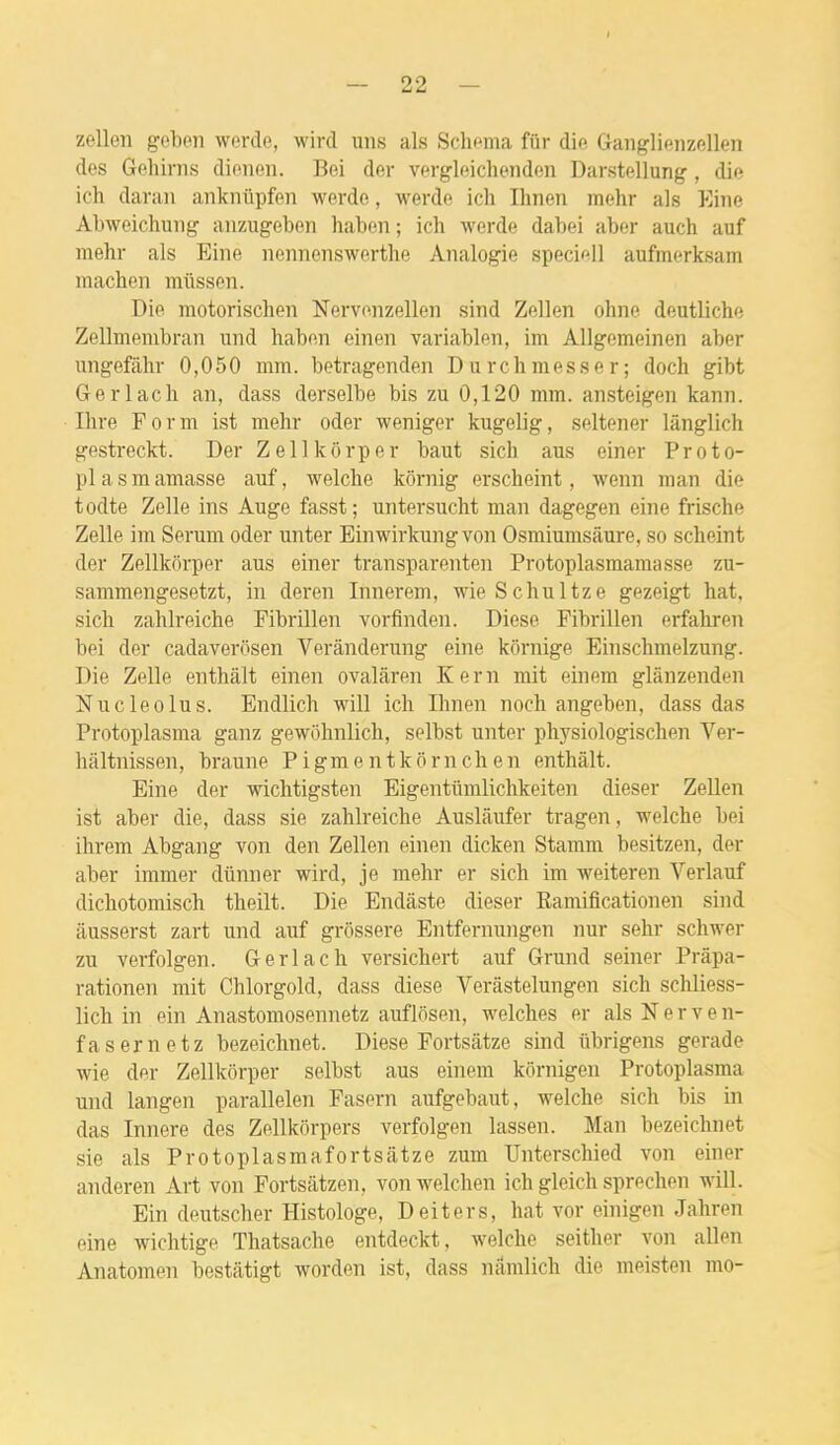 zellen geben wordo, wird uns als Schéma fiir die Gaiiglienzellen des Gehirns dioneii. Bei der vergleichenden Darstellung, die ich danui ankinipfen werde, werde ich Ihnen mehr als Eine Abweichuiig auzugeben haben ; ich werde dabei aber auch auf mehr als Eine nennenswerthe Analogie speciell aufmerksam machen miissen. Die motorischen Nervenzellen sind Zellen ohne deutliche Zellmenibran und haben einen variablen, im Allgemeinen aber ungefillir 0,050 mm. betragenden Durchmesser; doch gibt Gerlach an, dass derselbe bis zu 0,120 mm. ansteigen kann. Ihre F or m ist mehr oder weniger kugelig, seltener lânglich gestreckt. Der Zellkôrper haut sich ans einer Proto- pl asm amasse auf, welche kôrnig erscheint, wenn man die todte Zelle ins Auge fasst; untersucht man dagegen eine frische Zelle im Sérum oder unter Einwirkung von Osmiumsâure, so scheint der Zellkôrper aus einer transparenten Protoplasmamasse zu- sammengesetzt, in deren Innerem, wieSchultze gezeigt hat, sich zahlreiche Fibrillen vorfinden. Dièse Fibrillen erfahren bei der cadaverosen Verânderung eine kornige Einschmelzung. Die Zelle enthàlt einen ovalàren Kern mit einem glànzenden Nue le0 lus. Endlich will ich Ihnen noch angeben, dass das Protoplasma ganz gewôhnlich, selbst unter physiologischen Ver- hâltnissen, braune Pigmentkôrnchen enthâlt. Eine der wichtigsten Eigentumlichkeiten dieser Zellen ist aber die, dass sie zahlreiche Auslâufer tragen, welche bei ihrem Abgang von den Zellen einen dicken Stamm besitzen, der aber immer dûnner wird, je mehr er sich im weiteren Verlanf dichotomisch theilt. Die Endâste dieser Ramificationen sind âusserst zart und auf grôssere Entfernungen nur sehr schwer zu verfolgen. Gerlach versichert auf Grund seiner Prâpa- rationen mit Chlorgold, dass dièse Verâstelungen sich schliess- lich in ein Anastomosennetz auflosen, welches er als N e r v e n- fasernetz bezeichnet. Dièse Fortsâtze sind iibrigens gerade wie der Zellkôrper selbst aus einem kôrnigen Protoplasma und langen parallelen Fasern aufgebaut, welche sich bis in das Innere des Zellkôrpers verfolgen lassen. Man bezeichnet sie als Protoplasmafortsâtze zum Unterschied von einer anderen Art von Fortsàtzen, von welchen ich gleich sprechen will. Ein deutscher Histologe, Deiters, hat vor einigen Jahren eine wichtige Thatsache entdeckt, welche seither von allen Anatomen bestâtigt worden ist, dass nâmlich die meisten mo-