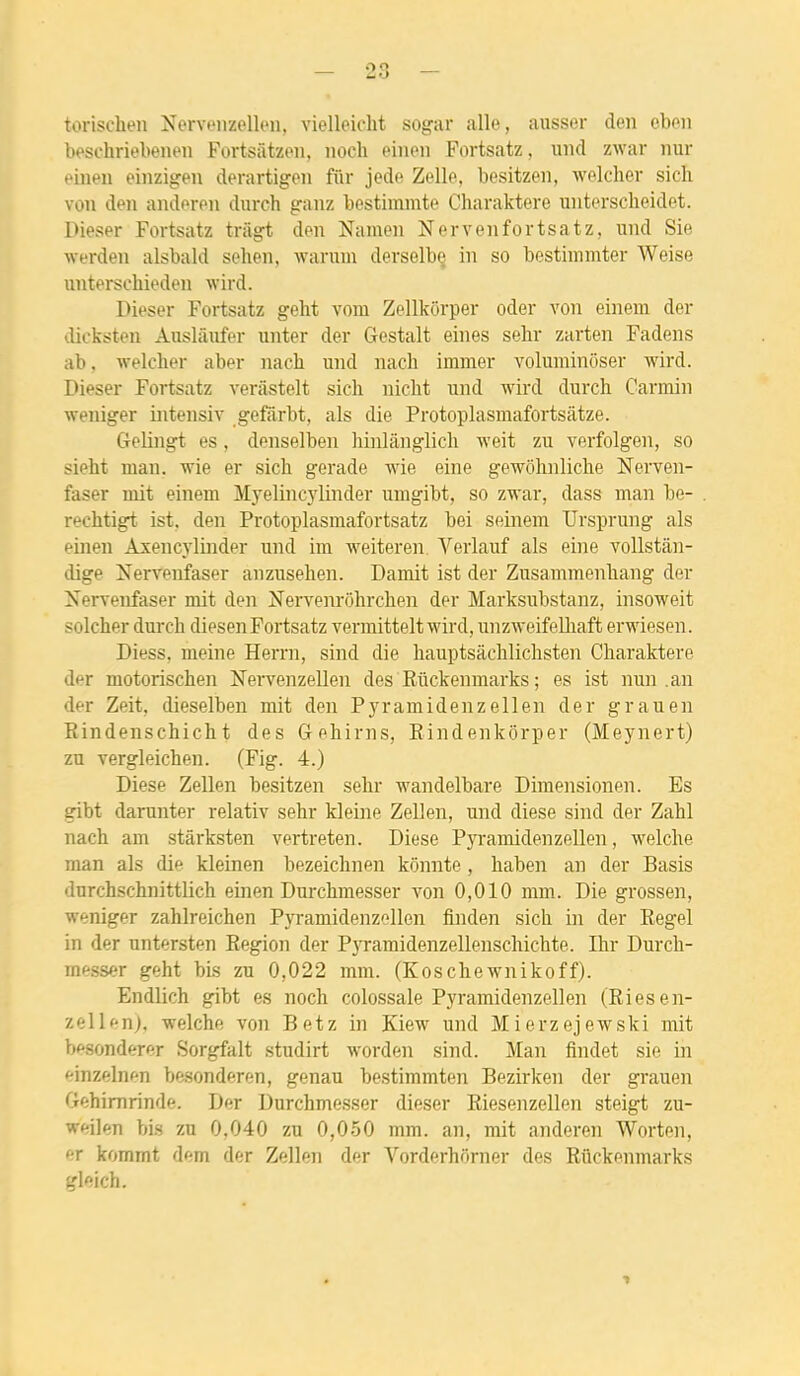 torischen Nervoiizellen, vielleiclit sogar aile, aiisser den cbon beschriebenen Fortsiitzeii, iiocli eiiion Fortsatz, uiid zwar nur eineii einzigen derartigen fiir jedo Zelle, besitzeii, welclier sicli von den anderen durch ganz bestiramte Charaktere untersclieidet. Dieser Fortsatz tnigt den Namen Nervenfortsatz, und Sie werden alsbald selien, waruin derselbo in so bostimmter Weise miterscbieden wird. Dieser Fortsatz geht vom Zellkôrper oder von einem der dicksten Ansliutfer iinter der Gestalt eines sehr zarten Fadens ab, welclier aber nach und nach immer voluniinôser wird. Dieser Fortsatz verâstelt sich nicht und wird durch Carmin weniger intensiv gefarbt, als die Protoplasmafortsâtze. Gelingt es, denselben hinlânglich weit zu verfolgen, so sieht man. wie er sich gerade wie eine gewôhnliche Nerven- faser mit einem Myelincj^linder umgibt, so zwar, dass man be- rechtigt ist, den Protoplasmafortsatz bei seinem Ursprung als emen Axencvlmder und im weiteren Verlauf als eine voUstân- dige Nervenfaser anzusehen. Damit ist der Zusammenhang der Nervenfaser mit den Nervenrôhrchen der Marksubstanz, insoweit solcher durch diesen Fortsatz vermittelt wird, unzweifelliaft erwiesen. Diess, meine Herrn, sind die hauptsâchlichsten Charaktere der motorischen Nervenzellen des Kûckenmarks ; es ist nun .an der Zeit, dieselben mit den Pja-amidenzellen der grau en Rindenschicht des Gehirns, Kindenkôrper (Meynert) zu vergleichen. (Fig. 4.) Dièse Zellen besitzen sehr wandelbare Dimensionen. Es gibt darunter relativ sehr kleine Zellen, und dièse sind der Zahl nach am stàrksten vertreten. Dièse Pyramidenzellen, welche man als die kleinen bezeichnen konnte , haben an der Basis durchschnittlich einen Durchmesser von 0,010 mm. Die grossen, weniger zahlreichen PyramidenzoUen finden sich in der Regel in der untersten Région der Pyramidenzellenschichte. Ihr Durch- messer geht bis zu 0,022 mm. (Koschewnikoff). Endlich gibt es noch colossale Pyramidenzellen (Riesen- zellen), welche von Betz in Kiew und Mierzejewski mit besonderer Sorgfalt studirt worden sind. Man findet sie in einzelnen besonderen, genau bestimmten Bezirken der grauen Gehimrinde. Der Durchmesser dieser Riesenzellen steigt zu- weilen bis zu 0,040 zu 0,050 mm. an, mit anderen Worten, er kommt dem der Zellen der Vorderhorner des Riickenmarks gleich.