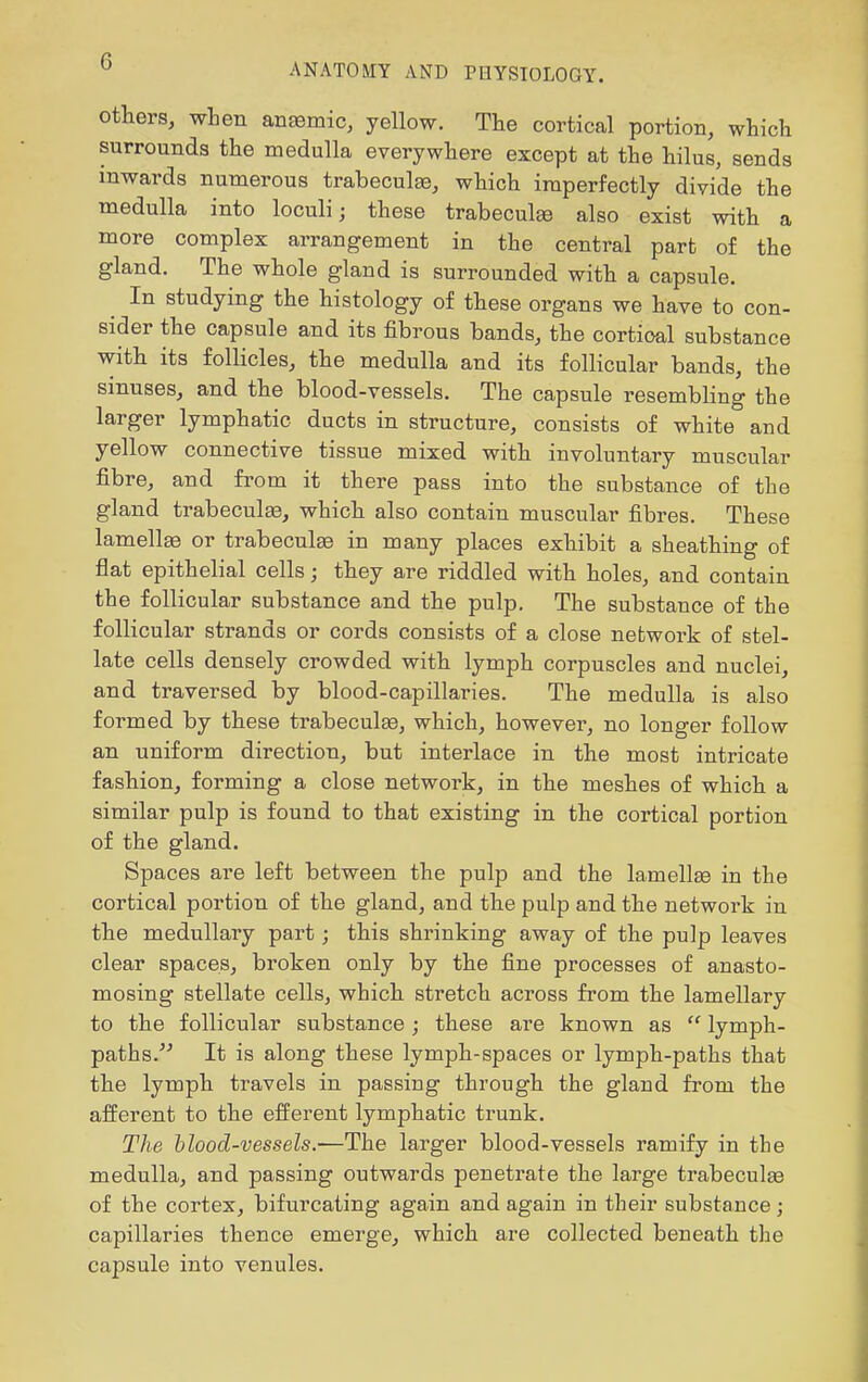 ANATOMY AND PHYSIOLOGY. Others, when anemic, yellow. The cortical portion, which surrounds the medulla everywhere except at the hilus, sends mwards numerous trabeculaa, which imperfectly divide the medulla into loculi; these trabecules also exist with a more complex arrangement in the central part of the gland. The whole gland is surrounded with a capsule. In studying the histology of these organs we have to con- sider the capsule and its fibrous bands, the cortical substance with its follicles, the medulla and its follicular bands, the sinuses, and the blood-vessels. The capsule resembling the larger lymphatic ducts in structure, consists of white and yellow connective tissue mixed with involuntary muscular fibre, and from it there pass into the substance of the gland trabeculae, which also contain muscular fibres. These lamellae or trabeculae in many places exhibit a sheathing of flat epithelial cells; they are riddled with holes, and contain the follicular substance and the pulp. The substance of the follicular strands or cords consists of a close network of stel- late cells densely crowded with lymph corpuscles and nuclei, and traversed by blood-capillaries. The medulla is also formed by these trabeculae, which, however, no longer follow an uniform direction, but interlace in the most intricate fashion, forming a close network, in the meshes of which a similar pulp is found to that existing in the cortical portion of the gland. Spaces are left between the pulp and the lamellge in the cortical portion of the gland, and the pulp and the network in the medullary part; this shrinking away of the pulp leaves clear spaces, broken only by the fine processes of anasto- mosing stellate cells, which stretch across from the lamellary to the follicular substance; these are known as  lymph- paths. It is along these lymph-spaces or lymph-paths that the lymph travels in passing through the gland from the afferent to the efferent lymphatic trunk. The blood-vessels.—The larger blood-vessels ramify in the medulla, and passing outwards penetrate the large trabeculee of the cortex, bifurcating again and again in their substance; capillaries thence emerge, which are collected beneath the capsule into venules.