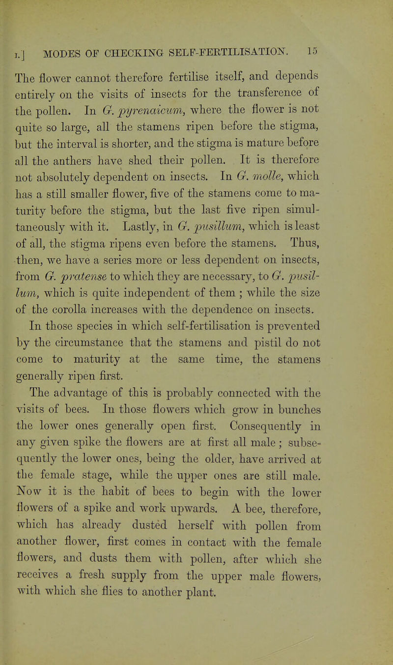 The flower cannot therefore fertilise itself, and depends entirely on the visits of insects for the transference of the pollen. In G. pyrenaicum, where the flower is not quite so large, all the stamens ripen before the stigma, but the interval is shorter, and the stigma is mature before all the anthers have shed their pollen. It is therefore not absolutely dependent an insects. In G. Qiiolle, which has a still smaller flower, five of the stamens come to ma- turity before the stigma, but the last five ripen simul- taneously with it. Lastly, in G. pusillum, which is least of all, the stigma ripens even before the stamens. Thus, -then, we have a series more or less dependent on insects, from G. pratense to which they are necessary, to G. pusil- lum, which is quite independent of them ; while the size of the corolla increases with the dependence on insects. In those species in which self-fertilisation is prevented by the circumstance that the stamens and pistil do not come to maturity at the same time, the stamens generally ripen first. The advantage of this is probably connected with the visits of bees. In those flowers which grow in bunches the lower ones generally open first. Consequently in any given spike the flowers are at first all male ; subse- quently the lower ones, being the older, have arrived at the female stage, while the upper ones are still male. Now it is the habit of bees to begin with the lower flowers of a spike and work upwards. A bee, therefore, which has already dusted herself with pollen from another flower, fii'st comes in contact with the female flowers, and dusts them with pollen, after which she receives a fresh supply from the upper male flowers, with which she flies to another plant.