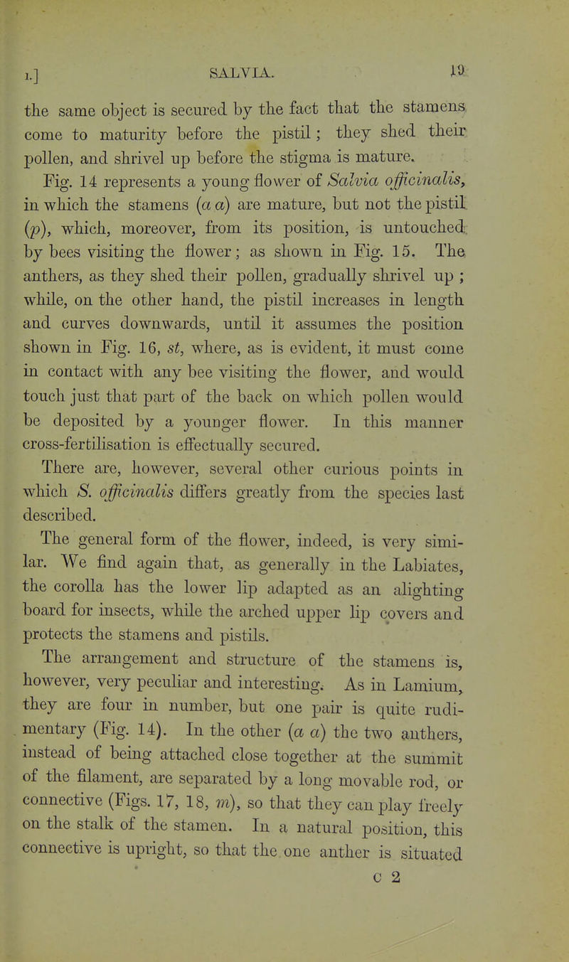 1.] SALVIA. r.) the same object is secured by the fact that the stamens,, come to maturity before the pistil; they shed their pollen, and shrivel up before the stigma is mature. Fig. 14 represents a young flower of Salvia officinalis, in which the stamens (a a) are mature, but not the pistiL (p), which, moreover, from its position, is untouched;, by bees visiting the flower ; as shown in Eig. 15. The, anthers, as they shed their pollen, gradually shrivel up ; while, on the other hand, the pistil increases in length and curves downwards, until it assumes the position, shown in Fig. 16, st, where, as is evident, it must come in contact with any bee visiting the flower, and w^ould touch just that part of the back on which pollen would be deposited by a youuger flower. In this manner cross-fertilisation is effectually secured. There are, however, several other curious points in which S. officinalis differs greatly from the species last described. The general form of the flower, indeed, is very simi- lar. We find again that, as generally in the Labiates, the corolla has the lower lip adapted as an alighting board for insects, while the arched upper lip covers and protects the stamens and pistils. The arrangement and structure of the stamens is, however, very peculiar and interesting; As in Lamium, they are four in number, but one pair is quite rudi- mentary (Fig. 14). In the other (a a) the two anthers, instead of being attached close together at the summit of the filament, are separated by a long movable rod, or connective (Figs. 17, 18, m), so that they can play freely on the stalk of the stamen. In a natural position, this connective is upright, so that the one anther is situated