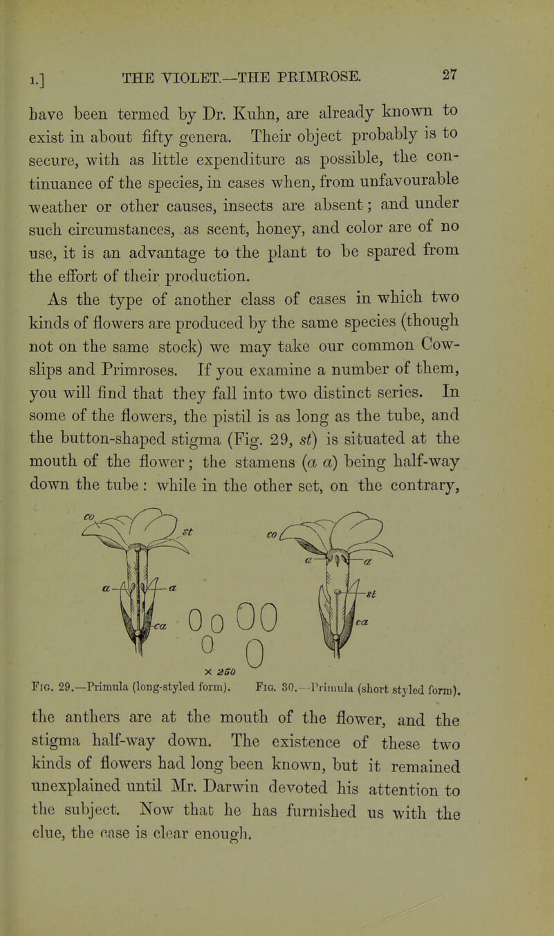 Lave been termed by Dr. Kubn, are already known to exist in about fifty genera. Their object probably is to secure, with as little expenditure as possible, the con- tinuance of the species, in cases when, from unfavourable weather or other causes, insects are absent; and under such circumstances, as scent, honey, and color are of no use, it is an advantage to the plant to be spared from the effort of their production. As the type of another class of cases in which two kinds of flowers are produced by the same species (though not on the same stock) we may take our common Cow- slips and Primroses. If you examine a number of them, you will find that they fall into two distinct series. In some of the flowers, the pistil is as long as the tube, and the button-shaped stigma (Fig. 29, st) is situated at the mouth of the flower; the stamens {a a) being half-way down the tube : while in the other set, on the contrary, Fig. 29.—Primula (long-styled form). Fig. 30.—Priiuiila (short styled form). the anthers are at the mouth of the flower, and the stigma half-way down. The existence of these two kinds of flowers had long been known, but it remained unexplained until Mr. Darwin devoted his attention to the subject. Now that he has furnished us with the clue, the case is clear enougli.