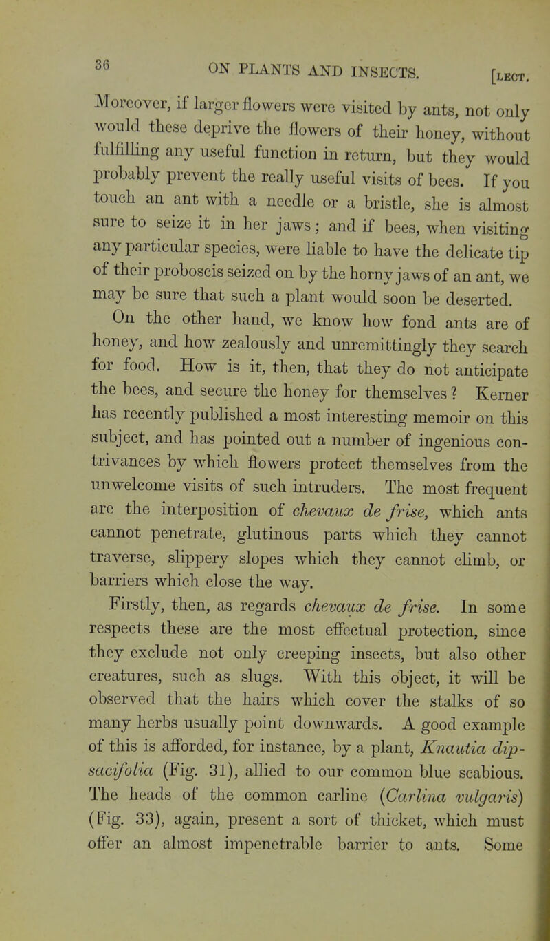 Moreover, if larger flowers were visited by ants, not only would these deprive the flowers of their honey, without fulfilling any useful function in return, but they would probably prevent the really useful visits of bees. If you touch an ant with a needle or a bristle, she is almost sure to seize it in her jaws; and if bees, when visiting any particular species, were liable to have the delicate tip of their proboscis seized on by the horny jaws of an ant, we may be sure that such a plant would soon be deserted. On the other hand, we know how fond ants are of honey, and how zealously and unremittingly they search for food. How is it, then, that they do not anticipate the bees, and secure the honey for themselves ? Kerner has recently published a most interesting memoir on this subject, and has pointed out a number of ingenious con- trivances by which flowers protect themselves from the unwelcome visits of such intruders. The most frequent are the interposition of chevaicx de frise, which ants cannot penetrate, glutinous parts which they cannot traverse, slippery slopes which they cannot climb, or barriers which close the way. Firstly, then, as regards clievaux de frise. In some respects these are the most efiectual protection, since they exclude not only creeping insects, but also other creatures, such as slugs. With this object, it will be observed that the hairs which cover the stalks of so many herbs usually point downwards. A good example of this is aff'orded, for instance, by a plant, Knautia dip- sacifolia (Fig. 31), allied to our common blue scabious. The heads of the common carline {Carlina vulgaris) (Fig. 33), again, present a sort of thicket, which must offer an almost impenetrable barrier to ants. Some
