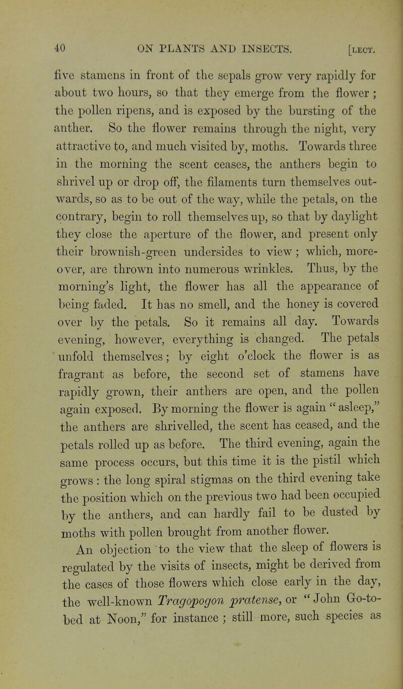five stamens in front of the sepals grow very rapidly for about two hours, so that they emerge from the flower ; the pollen ripens, and is exposed by the bursting of the anther. So the flower remains through the night, very attractive to, and much visited by, moths. Towards three in the morning the scent ceases, the anthers begin to shrivel up or drop ofl, the filaments turn themselves out- wards, so as to be out of the way, while the petals, on the contrary, begin to roll themselves up, so that by daylight they close the aperture of the flower, and present only their brownish-green undersides to view; which, more- over, are thrown into numerous wrinkles. Thus, by the morning's light, the flower has all the appearance of being faded. It has no smell, and the honey is covered over by the petals. So it remains all day. Towards evening, however, everything is changed. The petals ' unfold themselves; by eight o'clock the flower is as fragrant as before, the second set of stamens have rapidly grown, their anthers are open, and the pollen again exposed. By morniDg the flower is again  asleep, the anthers are shrivelled, the scent has ceased, and the petals rolled up as before. The third evening, again the same process occurs, but this time it is the pistil which grows : the long spiral stigmas on the third evening take the position which on the previous two had been occupied by the anthers, and can hardly fail to be dusted by moths with pollen brought from another flower. An objection to the view that the sleep of flowers is regulated by the visits of insects, might be derived from the cases of those flowers which close early in the day, the well-known Tragopogon pratense,ov John Go-to- bed at Noon, for instance ; still more, such species as