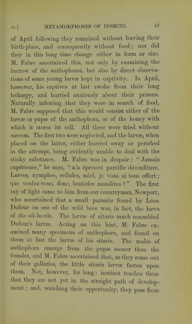 of April following they remained without leaving their birth-place, and consequently without food; nor did they in this long time change either in form or size. M. Fabre ascertained this, not only by examining the burrow of the anthophoras, but also by direct observa- tions of some young larvae kept in captivity. In April, however, his captives at last awoke from their long lethargy, and hurried anxiously about their prisons. Naturally inferring that they were in search of food, M. Fabre supposed that this would consist either of the larvse or pupae of the anthophora, or of the honey with which it stores its cell. All three were tried without success. The first two were neglected, and the larvae, when placed on the latter, either hurried away or perished in the attempt, being evidently unable to deal with the sticky substance. M. Fabre was in despair :  Jamais experience, he says,  n'a eprouve pareille deconfiture. Larves, nymphes, cellules, miel, je vous ai tons offert; que voulez-vous, done, bestioles maudites 1 The first ray of light came to him from our countryman, Newport, who ascertained that a small parasite found by L^on Dufour on one of the wild bees was, in fact, the larva of the oil-beetle. The larvse of sitaris much resembled Dufour's larvae. Acting on this hint, M. Fabre ex- amined many specimens of anthophora, and found on them at last the larvae of his sitaris. The males of anthophora emerge from the pupae sooner than the females, and M. Fahre ascertained that, as they come out of their galleries, the little sitaris larv^ fasten upon them. Not, however, for long: instinct teaches them that they are not yet in the straight path of develop- ment ; and, watching their opportunity, they pass from