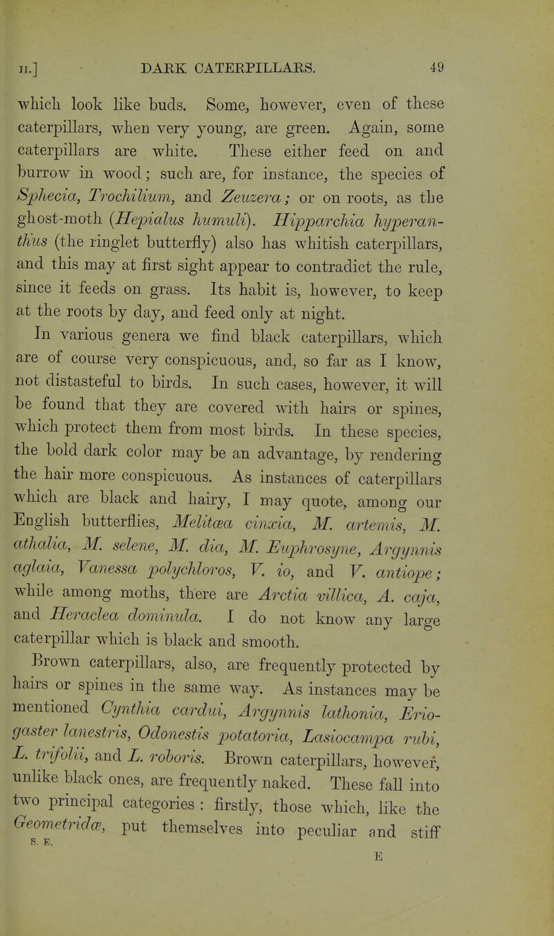 II.] which look like buds. Some, however, even of these caterpillars, when very young, are green. Again, some caterpillars are white. These either feed on and burrow in wood; such are, for instance, the species of Sphecia, Trochilium, and Zeuzera; or on roots, as the ghost-moth {Hepialus hnmuli). Hipparchia hyperan- tJius (the ringlet butterfly) also has whitish caterpillars, and this may at first sight appear to contradict the rule, since it feeds on grass. Its habit is, however, to keep at the roots by day, and feed only at night. In various genera we find black caterpillars, which are of course very conspicuous, and, so far as I know, not distasteful to birds. In such cases, however, it will be found that they are covered with hairs or spines, which protect them from most birds. In these species, the bold dark color may be an advantage, by rendering the hair more conspicuous. As instances of caterpillars which are black and hairy, I may quote, among our Ecglish butterflies, Melitcea cinxia, M. artemis, M. athalia, M. selene, M. dia, M. Euphrosyne, Argynnis aglaia, Vanessa polychloros, V. io, and V. antiope; while among moths, there are Arctia mllica, A. caja, and Heraclea dominula. I do not know any large caterpillar which is black and smooth. Brown caterpillars, also, are frequently protected by hairs or spines in the same way. As instances may be mentioned Cynthia cardui, Argynnis lathonia, JErio- gaster lanestris, Odonestis potatoria, Lasiocampa ruhi, L. trifolii, and L. rohoris. Brown caterpillars, however, unlike black ones, are frequently naked. These fall into two principal categories : firstly, those which, like the Geometridce, put themselves into peculiar and stifl S. E. K