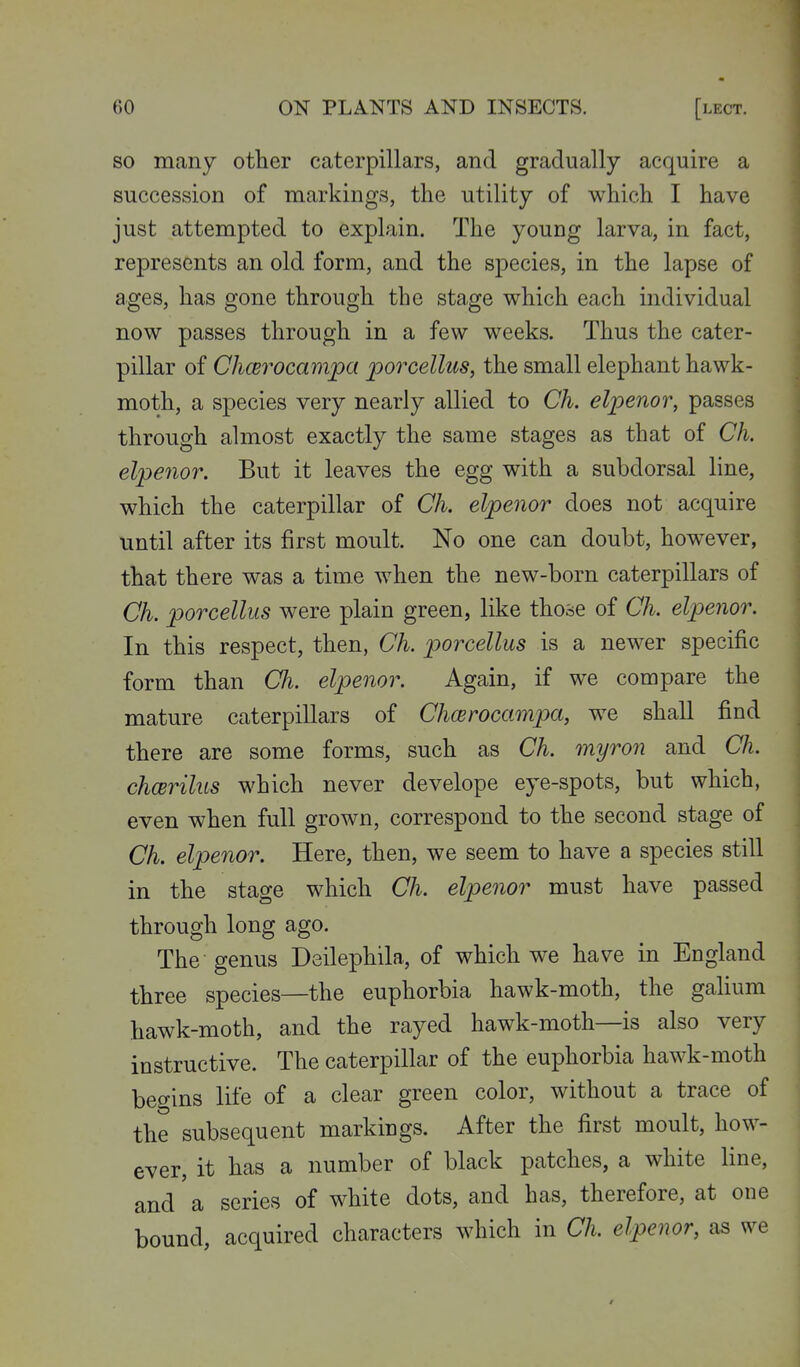 so many other caterpillars, and gradually acquire a succession of markings, the utility of which I have just attempted to explain. The young larva, in fact, represents an old form, and the species, in the lapse of ages, has gone through the stage which each individual now passes through in a few weeks. Thus the cater- pillar of Chwrocmipa porcellus^ the small elephant hawk- moth, a species very nearly allied to Ch. elpenor, passes through almost exactly the same stages as that of Ch. elpenor. But it leaves the egg with a subdorsal line, which the caterpillar of Ch. elpenor does not acquire until after its first moult. No one can doubt, however, that there was a time when the new-born caterpillars of Ch. porcellus were plain green, like those of Ch. elpenor. In this respect, then, Ch. porcellus is a newer specific form than Ch. elpenor. Again, if we compare the mature caterpillars of Chcerocampa, we shall find there are some forms, such as Ch. myron and Ch. chcerilus which never develope eye-spots, but which, even when full grown, correspond to the second stage of Ch. elpenor. Here, then, we seem to have a species still in the stage which Ch. elpenor must have passed through long ago. The genus Deilephila, of which we have in England three species—the euphorbia hawk-moth, the galium hawk-moth, and the rayed hawk-moth—is also very instructive. The caterpillar of the euphorbia hawk-moth begins life of a clear green color, without a trace of the subsequent markings. After the first moult, how- ever, it has a number of black patches, a white line, and'a series of white dots, and has, therefore, at one bound, acquired characters which in Ch. elpenor, as we