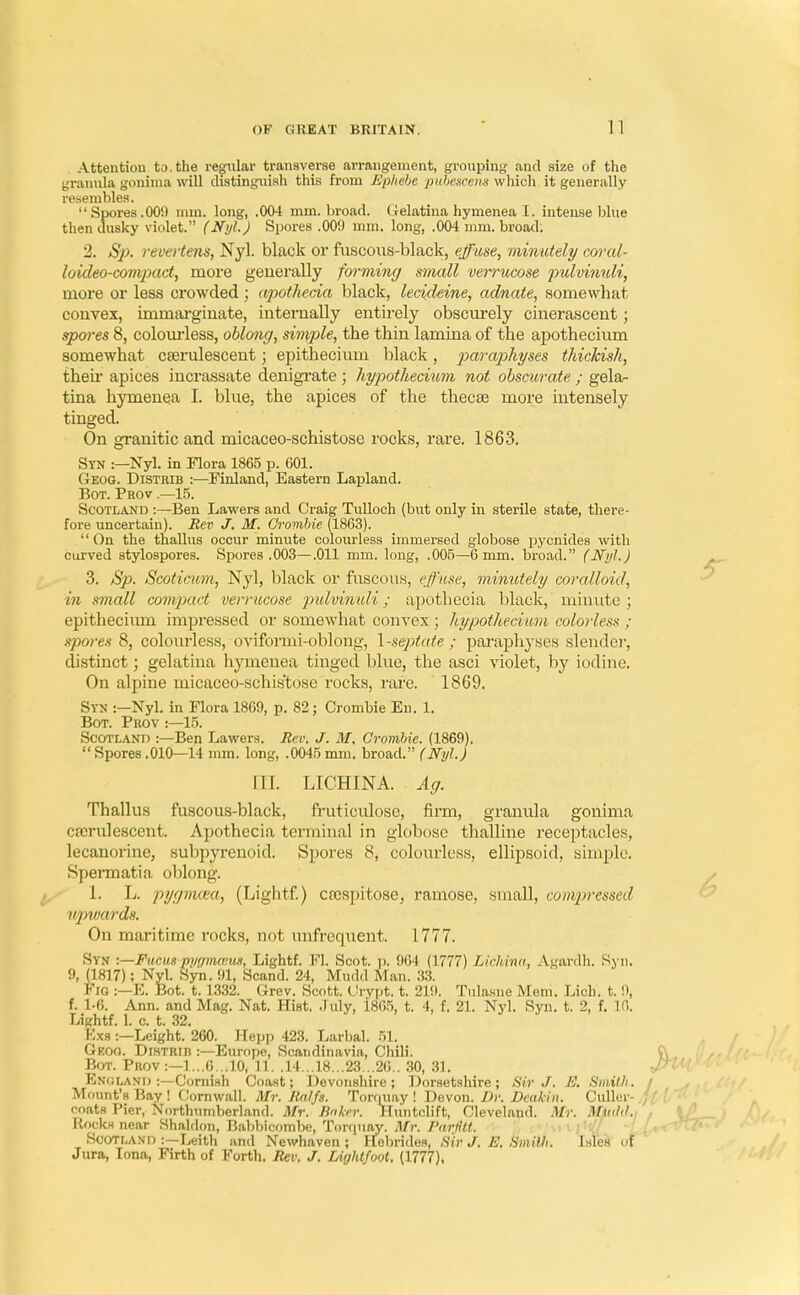 Attention to.the regular transverse arrangement, grouping and size of the granula gonima will distinguish this from Ephebe pubescens which it generally resembles. Spores .009 mm. long, .004 mm. broad, Gelatina hymenea I. intense blue then dusky violet. (Nyl.) Spores .009 mm. long, .004 mm. broad. 2. Sp. revertens, Nyl. black or fuscous-black, effuse, minutely coral- loideo-compact, more generally forming small verrucose pulvinuli, more or less crowded ; apothecia black, lecideine, adnate, somewhat convex, iminarginate, internally entirely obscurely cinerascent; spores 8, colourless, oblong, simple, the thin lamina of the apothecium somewhat cserulescent; epithecium black, paraphyses thickish, then apices incrassate denigrate; hypotliecium not obscurate ; gela- tina hymenea I. blue, the apices of the thecse more intensely tinged. On granitic and micaceo-schistose rocks, rare. 1863. Syn :—Nyl. in Flora 1865 p. 001. Geog. Distkib :—Finland, Eastern Lapland. Bot. Prov .—15. Scotland :—Ben Lawers and Craig Tulloch (but only in sterile state, there- fore uncertain). Rev J. M. Crombie (1863). On the thallus occur minute colourless immersed globose pyenides with curved stylospores. Spores .003—.011 mm. long, .005—6 mm. broad. (Nyl.) 3. Sp. Scoticum, Nyl, black or fuscous, effuse, minutely coralloid, in small compact verrucose pulvinuli; apothecia black, minute ; epitliecimn impressed or somewhat convex ; hypothecium colorless ; spores 8, colourless, oviformi-oblong, l-septate ; paraphyses slender, distinct; gelatina hymenea tinged blue, the asci violet, by iodine. On alpine micaceo-schis'tose rocks, rare. 1869. Syn :—Nyl. in Flora 1869, p. 82; Crombie En. 1. Bot. Prov :—15. Scotland :—Ben Lawers. Rev. J. M, Crombie. (1869). Spores.010—14 mm. long, .0045mm. broad. (Nyl.) 1IT. LICHINA. Ag. Thallus fuscous-black, fruticulose, firm, granula gonima cserulescent. Apothecia terminal in globose thalline receptacles, lecanorine, subpyrenoid; Spores 8, colourless, ellipsoid, simple. Spermatia oblong. 1. L. pygmcea, (Lightf.) crcspitose, ramose, small, compressed upwards, On maritime rocks, not unfrcquent. 1777. Svn v—Fucm-pygmam, Lightf. Fl. Scot. p. 964 (1777) Lichina, Agardh. Syn. 9, (1817); Nyl. Syn. 91, Scand. 24, Mudd Man. 33. Fig :—E. Bot. t. 1332. Crev. Scott. Orypt. t. 219. Tulasne Mem. Lich. t. 9, f. 1-6. Ann. and Mag. Nat. Hist. July, i865, t. 4, f. 21. Nyl. Syn. t. 2, f. 16. Lightf. L c. t. 32. Kxs:—Leight. 260. Hepp 423. Larbal. 51. Geoo. Distrib :—Europe, Scandinavia, Chili. Bot. Prov :—1...6...10, 11. .14...18...23...26.. 30, 31. Enoland :—Cornish Coast; Devonshire; Dorsetshire; Sir J. E. Smith. Mount's Bay ! Cornwall. Mr. Ralfs. Torquay ! Devon. Dr. Dcakin. Culler- coats Pier, Northumberland. Mr. Baker. Huntclift, Cleveland. Mr. Mt«!(l.: Rocks near Shaldon, Babbicombe, Torquay. Mr. Parfilt. Scotland :—Leith and Newhaven ; Hebrides, Sir. J. E. Smith. Isles of Jura, Iona, Firth of Forth. Rev. J. Ligldfoot. (1777),