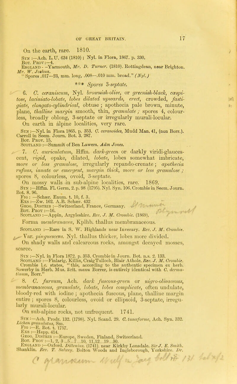 On the earth, rare. 1810. Stn :—Ach. L.U. 634 (1810); Nyl. in Flora, 1867. p. 330. Bot. Phov:—4. England - -Yarmouth. Mr. D. Turner. (1810). Eottingdean, near Brighton. Mr. W. Joshua. Spores .017—23, mm. long, .008—.010 mm. broad. (Nyl.) *** Spores 3-septate. 6. 0. ceraniscum, Nyl. brownish-olive, or greenish-black, coespi- tose, laciniato-lobate, lobes dilated upwards, erect, crowded, fasti- giate, elongato-cylindrical, obtuse ; apothecia pale brown, minute, plane, thalline margin smooth, thin, granulate; spores 4, colour- less, broadly oblong, 3-septate or irregularly murali-locular. On earth in alpine localities, very rare. Syn :—Nyl. in Flora 1865. p. 353. O. ceranoides, Mudd Man. 41, (non Borr.). Carroll in Seem. Journ. Bot. 3. 287. Bot. Pkov. 15. Scotland :—Summit of Ben Lawers. Adm Jones. 7. G. auricidatum, Hffm. dark-green or darkly viridi-glauces- cent, rigid, opake, dilated, lobate, lobes somewhat imbricate, more or less gramdose, irregularly repando-crenate; apothecia rufous, innate or emergent, margin thick, more or less gramdose ; spores 8, colourless, ovoid, 3-septate. On mossy walls -in sub-alpine localities, rare. 1869. Syn :—Hffm. Fl. Germ. 2. p. 98 (1795). Nyl. Syn. 106. Crombie in Seem. Journ. Bot. 8. 96. Fig : —Schser. Enum. t. 10, f. 3. Exs :-Zw. 162. A.B. Schser. 432 Geog. Distrib :—Switzerland, France, Germany. Bot. Prov :-16. /fit ,*-+4<f Scotland :—Appin, Argyleshire. Rev. J. M. Crombie. (1869). Forma membranacea, Kplhb. thallus membranaceous. Scotland :—Bare in S. W. Highlands near Inverary. Rev. J. M. Crombie. Var. pwguescerxs. Nyl. thallus thicker, lobes more divided. On shady walls and calcareous rocks, amongst decayed mosses, scarce. STN :—Nyl. in Flora 1872. p. 353. Crombie in Journ. Bot. n.s. 2. 133. Scotland :—Finlarig, Killin, CraigTulloch, Blair Athole. Rev. J. M. Crombie. Crombie I.e. states,  this, according to the authentic specimen ex herb. Sowerby in Herb. Mus. Brit, manu Borrer, is entirely identical with C. derma- tinum, Borr. 8. C. furvum, Ach. dark fuscous-green or nigro-olivaceous, membranaceous, granulate, lobate, lobes complicate, often undulate, bloody-red with iodine; apothecia fuscous, plane, thalline margin entire ; spores 8, colourless, ovoid or ellipsoid, 3-septate, irregu- larly murali-locular. On sub-alpine rocks, not unfrcquent. 1741. Syn :-Ach. Prodr. 132. (1798). Nyl. Scand. 29. C. tuiweformc, Ach. Syn. 332. Lichen granuhdut, Sm. Fro :—E. Bot. t. 1757. Exs :—Hepp. 414. Geog. Distrib :—Europe, Sweden, Finland, Switzerland. Bot. Prov :—1, 2, 3 ..5.. 7. .10, 11,12...19...30. England :—Oxford. DUleniut. (1711). near Kirkby Lonsdale. Sir J. E. Smith. Shanklin. Rev. T. Salvxy. Bolton Woods and lngleborough, Yorkshire. Dr.