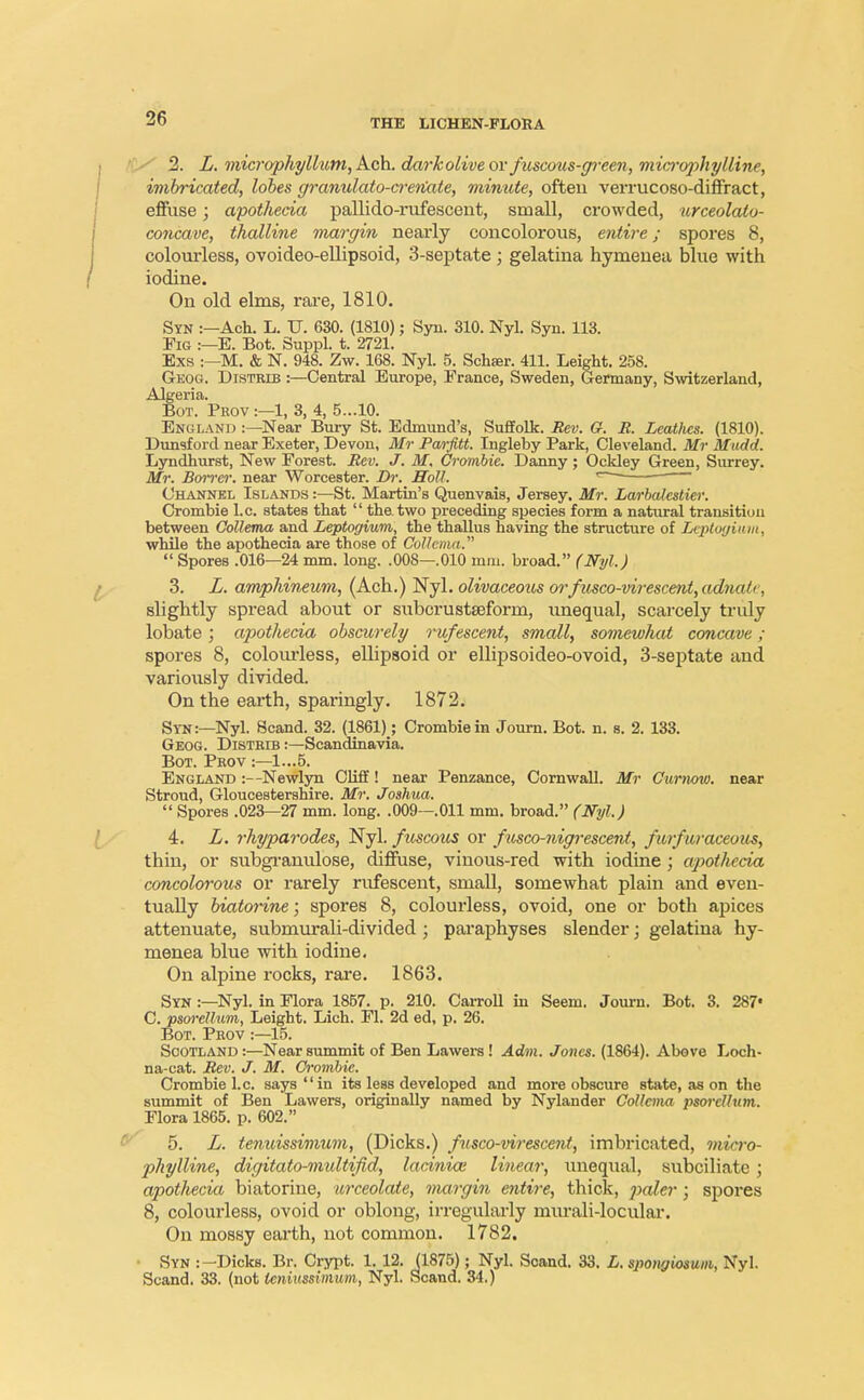 2. L. microphyllum, Ach. darkolive or fuscous-green, microphylline, imbricated, lobes gramdato-creriate, mimcte, often verrucoso-diffract, effuse; apothecia pallido-rufescent, small, crowded, urceolalo- concave, thalline margin nearly concolorous, entire; spores 8, colourless, ovoideo-ellipsoid, 3-septate ; gelatina hymenea blue with iodine. On old elms, rare, 1810. Syn :—Ach. L. U. 630. (1810); Syn. 310. Nyl. Syn. 113. Fig :—E. Bot. Suppl. t. 2721. Exs :—M. & N. 948. Zw. 168. Nyl. 5. Schser. 411. Leight. 258. Geog. Distrib :—Central Europe, France, Sweden, Germany, Switzerland, Algeria. Bot. Peov :—1, 3, 4, 5...10. England :—Near Bury St. Edmund's, Suffolk. Rev. G. R. Leathes. (1810). Dunsford near Exeter, Devon, Mr Pwfitt. Ingleby Park, Cleveland. Mr Mudd. Lyndhurst, New Forest. Rev. J. M. Crombie. Danny; Ockley Green, Surrey. Mr. Boivcr. near Worcester. Br. Hott. ' Channel Islands :—St. Martin's Quenvais, Jersey. Mr. Larbalestier. Crombie I.e. states that  the. two preceding species form a natural transition between Collema and Leptogium, the thallus having the structure of Leptogium, while the apothecia are those of Collema.  SporeB .016—24 mm. long. .008—.010 mm. broad. (Nyl.) 3. L. amphineum, (Ach.) Nyl. olivaceous orfusco-virescent,adnalc, slightly spread about or subcrustseform, unequal, scarcely truly lobate ; apothecia obscurely rufescent, small, somewhat concave; spores 8, colourless, ellipsoid or ellipsoideo-ovoid, 3-septate and variously divided. On the earth, sparingly. 1872. Syn:—Nyl. Scand. 32. (1861); Crombie in Journ. Bot. n. s. 2. 133. Geog. Disthib :—Scandinavia. Bot. Prov :—1...5. England :—Newlyn Cliff! near Penzance, Cornwall. Mr Curnow. near Stroud, Gloucestershire. Mr. Joshua.  Spores .023—27 mm. long. .009—.011 mm. broad. (Nyl.) 4. L. rhyparodes, Nyl. fuscous or fusco-nigrescent, fmfiiraceous, thin, or subgranulose, diffuse, vinous-red with iodine; apothecia concolorous or rarely rufescent, small, somewhat plain and even- tually biatorine; spores 8, colourless, ovoid, one or both apices attenuate, submurali-divided ; paraphyses slender; gelatina hy- menea blue with iodine. On alpine rocks, rare. 1863. Syn :—Nyl. in Flora 1857. p. 210. Carroll in Seem. Journ. Bot. 3. 287* C. psorellum, Leight. Lich. Fl. 2d ed, p. 26. Bot. Prov :—15. Scotland :—Near summit of Ben Lawers! Adm. Jones. (1864). Above Loch- na-cat. Rev. J. M. Crombie. Crombie I.e. says in its less developed and more obscure state, as on the summit of Ben Lawers, originally named by Nylander Collema psorellum. Flora 1865. p. 602. 5. L. tenuissimum, (Dicks.) fusco-viresce7it, imbricated, mirro- phylline, digitato-midtifid, lacinice linear, unequal, subciliate ; apothecia biatorine, urceolate, margin entire, thick, paler; spores 8, colourless, ovoid or oblong, irregularly murali-locular. On mossy earth, not common. 1782. • Syn :-Dicks. Br. Crypt. 1. 12. (1875); Nyl. Scand. 33. L. spongiosum, Nyl. Scand. 33. (not icniussimum, Nyl. Scand. 34.)