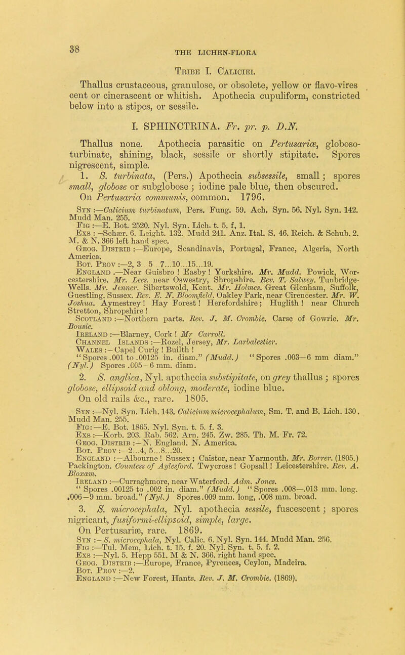 Tribe I. Caliciei. Thallus crustaceous, granulosa, or obsolete, yellow or flavo-vires cent or cinerascent or whitish. Apothccia cupuliform, constricted below into a stipes, or sessile. I. SPHINCTPJNA. Fr. pr. p. D.N. Thallus none. Apothecia parasitic on Pertusarice, globoso- tm'binate, shining, black, sessile or shortly stipitate. Spores nigrescent, simple. 1. S. turbinata, (Pers.) Apothecia subsessile, small; spores small, globose or subglobose ; iodine pale blue, then obscured. On Pertusaria communis, common. 1796. Syn :—Calicium turbinatum, Pers. Fung. 59. Ach. Syn. 56. Nyl. Syn. 142. Mudd Man. 255. Fig :—E. Bot. 2520. Nyl. Syn. Lich. t. 5. f. 1. Exs : -SchEer. 6. Leight. 132. Mudd 241. Anz. Ital. S. 46. Eeich. & Schub. 2. M. & N. 366 left hand spec. Geog. Distrib :—Europe, Scandinavia, Portugal, France, Algeria, North America. Bot. Prov :—2, 3 5 7...10 ..15...19. England .—Near Guisbro ! Easby! Yorkshire. Mr. Mudd. Powick, Wor- cestershire. Mr. Lees, near Oswestry, Shropshire. Rev. T. Salwey. Tunbridge- Wells. Mr. Jenner. Sibertswold, Kent. Mr. Holmes. Great Glenham, Suffolk, Guestling. Sussex. Rev. E. N. Bloomfield. Oakley Park, near Cirencester. Mr. W. Joshua. Aymestrey ! Hay Forest! Herefordshire; Huglith ! near Church Stretton, Shropshire ! Scotland :—Northern parts. Rev. J. M. Crombie. Carse of Gowrie. Mr. Bousie. Ireland :—Blarney, Cork ! Mr Carroll. Channel Islands :—Rozel, Jersey, Mr. Larbalesticr. Wales :-Capel Curig ! Builth ! Spores .001 to .00125 in. diain. (Mudd.) Spores .003—6 mm diam. (Nyl.) Spores .CC5- 6 mm. diam. 2. 8. anglica, Nyl. apothecia substipitate, on grey thallus ; spores globose, ellipsoid and oblong, moderate, iodine blue. On old rails &c, rare. 1805. Syn :—Nyl. Syn. Lich. 143. Calicium microcephalum, Sm. T. and B. Lich. 130. Mudd Man. 255. Fig:— E. Bot. 1865. Nyl. Syn. t. 5. f. 3. Exs:—Korb. 203. Rab. 562. Arn. 245. Zw. 285. Th. M. Fr. 72. Geog. Distrib :—N. England. N. America. Bot. Prov:—2...4, 5...8...20. England :—Albourne ! Sussex ; Caistor, near Yarmouth. Mr. Borrcr. (1805.) Packington. Countess of Aylesford. Twycross ! Gopsall! Leicestershire. Rev. A. Bloxam. Ireland :—Curraghmore, near Waterford. Adm. Jones.  Spores .00125 to .002 in. diam. (Mudd.) Spores .008-.013 mm. long. .006-9 mm. broad. (Nyl.) Spores.009 mm. long, .008 mm. broad. 3. S. microcephala, Nyl. apothecia sessile, fuscescent; spores nigricant, fusiformi-ellipsoid, simple, large. On Pertusaria^, rare. 1869. Syn :-S. microcephala, Nyl. Calic. 6. Nyl. Syn. 144. Mudd Man. 256. Fig :—Tul. Mem, Lich. t. 15. f. 20. Nyl. Syn. t. 5. f. 2. Exs :—Nyl. 5. Hepp 551. M & N. 366. right hand spec. Geog. Distrib :—Europe, France, Pyrenees, Ceylon, Madeira. Bot. Prov :—2.