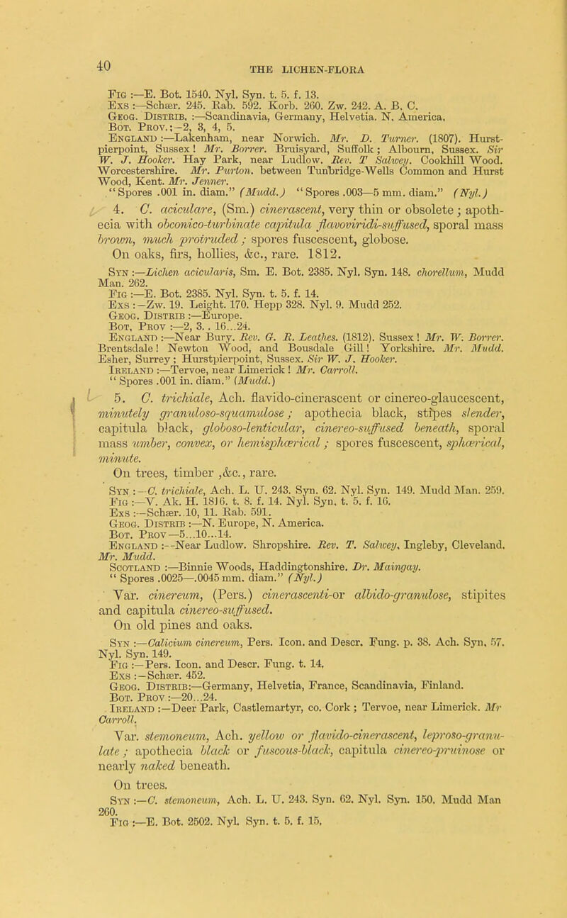 Fig :—E. Bot. 1540. Nyl. Syn. t. 5. f. 13. Exs :—Schter. 245. Eab. 592. Korb. 260. Zw. 242. A. B. C. Geog. Distrib, :—Scandinavia, Germany, Helvetia. N, America, Bot. Prov.;-2, 3, 4, 5. England :—Lakenham, near Norwich. Mr. D. Turner. (1807). Hurst- pierpoint, Sussex! Mr. Borrer. Bruisyard, Suffolk; Albourn, Sussex. Sir W. J. Hooker. Hay Park, near Ludlow. Rev. T Salwey. Cookhill Wood. Worcestershire. Mr. Purton. between Turibridge-Wells Common and Hurst Wood, Kent. Mr. Jenner.  Spores .001 in. diam. (Mudd.)  Spores .003—5 mm. diam. (Nyl.) 4. G. aciculare, (Sm.) cinerascent, very thin or obsolete; apoth- ecia with obconico-turbinate capitula flavoviridi-suffused, sporal mass brown, much protruded ; spores fuscesceut, globose. On oaks, firs, hollies, &c, rare. 1812. Syn :—Lichen acicularis, Sm. E. Bot. 2385. Nyl. Syn. 148. chorellurn, Mudd Man. 262. Fig :—E. Bot. 2385. Nyl. Syn. t. 5. f. 14. Exs :-Zw. 19. Leight.' 170. Hepp 328. Nyl. 9. Mudd 252. Geog. Disteib :—Europe. Bot. Peov :—2, 3.. 16...24. England :—Near Bury. Rev. G. R. Leathes. (1812). Sussex! Mr. W. Borrer. Brentsdale! Newton Wood, and Bousdale Gill! Yorkshire. Mr. Mudd. Esher, Surrey; Hurstpierpoint, Sussex. Sir W. J. Hooker. Ireland :—Tervoe, near Limerick ! Mr. Can-oil.  Spores .001 in. diam. (Mudd.) 5. C. trichicde, Ach. flavido-cinerascent or cinereo-glaucescent, minutely granuloso-squamulose; apothecia black, stipes slender, capitula black, globoso-lenticidar, cinereo-suffused beneath, sporal mass umber, convex, or hemispherical; spores fuscescent, sphcerical, minute. On trees, timber ,&c., rare. Syn :- C. trichialc, Ach. L. U. 243. Syn. 62. Nyl. Syn. 149. Mudd Man. 259. Fig :—V. Ak. H. 18J6. t. 8. f. 14. Nyl. Syn. t. 5. f. 16. Exs :-Schser..l0, 11. Rab. 591. Geog. Distrd? :—N. Europe, N. America. Bot. Prov— 5...10...14. England :--Near Ludlow. Shropshire. Rev. T. Sahcey, Ingleby, Cleveland. Mr. Mudd. Scotland :—Binnie Woods, Haddingtonshire. Dr. Maiwjay.  Spores .0025—.0045 mm. diam. (Nyl.) Var. cinereum, (Pers.) cinerascenti-ov albido-granulose, stipites and capitula cinereo-suffused. On old pines and oaks. Syn :—Galicium cinereum,, Pers. Icon, and Descr. Fung. p. 38. Ach. Syn. 57. Nyl. Syn. 149. Fig :—Pers. Icon, and Descr. Fung. t. 14. Exs :-SchEer. 452. Geog. Distrib:—Germany, Helvetia, France, Scandinavia, Finland. Bot. Prov :—20...24. Ireland :—Deer Park, Castlemartyr, co. Cork ; Tervoe, near Limerick. Mr Carroll. Var. stemoneum, Ach. yellow or flavido-cinerascent, leproso-granu- /<//r; apothecia black or fuscous-black, capitula cinereo-pruinose < li- nearly naked beneath. On trees. Syn :—C. slcmoncum, Ach. L. U. 243. Syn. 62. Nyl. Syn. 150. Mudd Man 260. Fig :—E. Bot. 2502. Nyl. Syn. t. 5. f. 15.