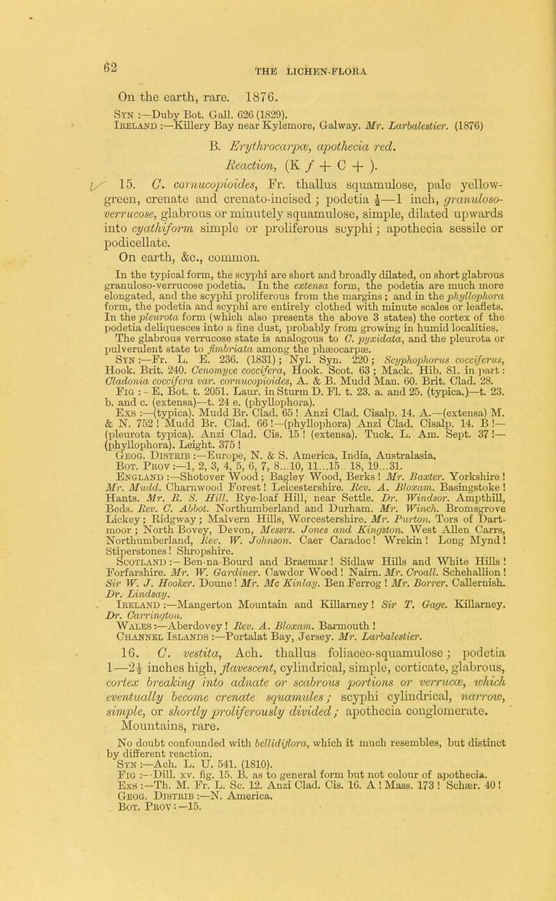 THE LICHEN-FLORA. On the earth, rare. 1876. Syn :—Duby Bot. Gall. 626 (1829). Ikeland :—Killery Bay near Kylemore, Galway. Mr. Larbalesticr. (1876) B. Erythrocarpoe, apothecia red. Reaction, (K / + C + ). 15. G. cornucopioides, Fr. thallus squarnulose, pale yellow- green, crenate and crenato-ineised ; podetia £—1 inch, granuloso- verrucose, glabrous or minutely squarnulose, simple, dilated upwards into cyathiform simple or proliferous scyphi; apothecia sessile or podicellate. On earth, &c., common. In the typical form, the scyphi are short and broadly dilated, on short glabrous granuloso-verrucose podetia. In the externa form, the podetia are much more elongated, and the scyphi proliferous from the margins ; and in the phyllophora form, the podetia and scyphi are entirely clothed with minute scales or leaflets. In the pleurota form (which also presents the above 3 states) the cortex of the podetia deliquesces into a fine dust, probably from growing in humid localities. The glabrous verrucose state is analogous to G. pyxidata, and the pleurota or pulverulent state to ftmbriata among the phseocarpae. Syn:—Fr. L. E. 236. (1831); Nyl. Syn. 220; Scyphopliorus cocciferus, Hook. Brit. 240. Cenomyce cocci/era, Hook. Scot. 63; Mack. Hib. 81. in part: Cladonia coccifera var. cornucopioides, A. & B. Mudd Man. 60. Brit. Clad. 28. Fig :-E. Bot. t. 2051. Laur. in Sturm D. Fl. t. 23. a. and 25. (typica.)—t. 23. b. and c. (extensa)—t. 24 e. (phyllophora). Exs :—(typica). Mudd Br. Clad. 65! Anzi Clad. Cisalp. 14. A.—(extensa) M. & N. 752 ! Mudd Br. Clad. 66!—(phyllophora) Anzi Clad. Cisalp. 14. B !— (pleurota typica). Anzi Clad. Cis. 15 ! (extensa). Tuck. L. Am. Sept. 37 !— (phyllophora). Leight. 375! Geog. Distrib :—Europe, N. & S. America, India, Australasia. Bot. Phov:—1, 2, 3, 4, 5, 6, 7, 8...10, 11...15.. 18, 19...31. England :—Shotover Wood ; Bagley Wood, Berks ! Mr. Baxter. Yorkshire! Mr. Mudd. Charnwood Forest! Leicestershire. Rev. A. Bloxam. Basingstoke ! Hants. Mr. R. S. Hill. Rye-loaf Hill, near Settle. Dr. Windsor. Ampthill, Beds. Rev. G. Abbot. Northumberland and Durham. Mr. Winch. Bromsgrove Lickey; Bidgway; Malvern Hills, Worcestershire. Mr. Purton. Tors of Dart- moor ; North Bovey, Devon, Messrs. Jones and Kingston. West Allen Carrs, Northumberland, Rev. W. Johnson. Caer Caradoc! Wrekin ! Long Mynd! Stiperstones! Shropshire. Scotland :-Ben-naBourd and Braemar! Sidlaw Hills and White Hills! Forfarshire. Mr. W. Gardiner. Cawdor Wood! Nairn. Mr. Croall. Schehallion! Sir W. J. Hooker. Doune! Mr. Mc Kinlay. Ben Ferrog ! Mr. Borrer. Callernish. Dr. Lindsay. Ireland :—Mangerton Mountain and Killarney! Sir T. Gage. Killarney. Dr. Carrington. Wales:—Aberdovey! Rev. A. Bloxam. Barmouth! Channel Islands :—Portalat Bay, Jersey. Mr. Larbalesticr. 16. C. vestita, Ach. thallus foliaceo-squarnulose; podetia 1—2£ inches high, fiavescent, cylindrical, simple, corticate, glabrous, cortex breaking into adnate or scabrous portions or verrucw, which eventually become crenate squamules; scyphi cylindrical, narrow, simple, or shortly proli/erously divided; apothecia conglomerate. Mountains, rare. No doubt confounded with bellidijlora, which it much resembles, but distinct by different reaction. Syn :—Ach. L. U. 541. (1810). Fig :—DDL xv. fig. 15. B. as to general form but not colour of apothecia. Exs :-Th. M. Fr. L. Sc. 12. Anzi Clad. Cis. 16. A ! Mass. 173 ! Schajr. 40 ! Geog. Djstkib :—N. America.