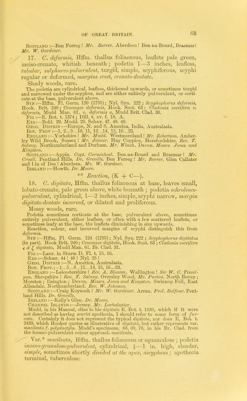 fi8 Scotland:—BonFerrog! Mr. Borrcr. Aberdeen! Ben-na-Bourd,.Braemar! Mr. W. Gardiner. 17. C. deformis, HfFm. thallus foliaceous, leaflets pale green, iuciso-creiiate, whitish beneath; podetia 1—3 inches, leafless, tubular, sitlpkureo-^puherulent, turgid, simple, scyphiferous, scyphi regular or deformed, margins erect, crenato-dentate. Shady woods, rare. The podetia are cylindrical, leafless, thickened upwards, or sometimes turgid and narrowed under the scyphus, and are either entirely pulverulent, or corti- cate at the base, pulverulent above. Syn .—Hffm. Fl. Germ. 120 (1795); Nyl. Syn. 222 ; Scyphophorus deformis, Hook. Brit. 240 ; Ccnomyce defoixmis, Hook. Scot. 63 : Cladonia coccifera v. defm-mis, Mudd Man. 61. v. deformis a, Mudd Brit. Clad. 30. Fig :—E. Bot. t. 1374 ; Dill. t. xv. f. 18. A. Exs:—Bohl. 29. Mudd. 25. Schser. 47. 48. 49. Geog. Distrib :—Europe, N. and S. America, India, Australasia. Bot. Pbov :—1, 2...5...10, 11, 12...14, 15, 16...23. England :—Yorkshire ! Mr. Mudd. Westmoreland ! Mr. Robertson. Amber- ley Wild Brook, Sussex! Mr. Jenner. Hay Coppice, Herefordshire. Rev. T. Salwcy. Northumberland and Durham. Mr. Winch. Devon. Messrs Jones and Kingston. Scotland :—Appin. Capt. Carmichacl. Ben-na-Bourd and Braemar! Mr. Croall. Pentland Hills. Dr. Greville. Ben Ferrog ! Mr. Borrer. Glen Callater and Lin of Dee ! Aberdeen. Mr. W. Gardner. Ireland :—Howth. Dr. Moore. ** Reaction, (K + C—). 18. G. digitata, Hffm. thallus foliaceous at base, leaves small, lobato-crenate, pale green above, white beneath ; podetia ochroleuco- •pulverulent, cylindrical, 1—2 inches, simple, scyphi narrow, margin digitate-dentate incurved, or dilated and proliferous. Mossy woods, rare. Podetia sometimes corticate at the base, pulverulent above, sometimes entirely pulverulent, either leafless, or often with a few scattered leaflets, or sometimes leafy at the base, the leaflets diminishit)g in size upwards. Reaction, colour, and incurved margins of scyphi distinguish this from deformis. Syn:-Hffm. Fl Germ. 124 (1795); Nyl. Syn. 222 ; Scyphophorus digitatus (in part). Hook Brit. 240; Ccnomyce digitata, Hook. Scot. 63 ; Cladonia coccifera e tfc £ digitata. Mudd Man. 61. Br. Clad. 31. Fig :—Laur. in Sturm D. Fl. t. 15. 16. Exs :—Sch£er. 44 ! 46 ! Nyl. 25 ! Geog. Distrib :—N. America, Australasia. Bot. Prov.:-1...5...8...11...14, 15, 16...23. England :—Leicestershire ! Rev. A. Bloxam. Wallington ! Sir W. C. Trcvcl- yam. Shropshire ! Rev. T. Salwcy. Oversley Wood. Mr. Purton. North Bovoy; Moreton ; Ilsington ; Devon. Messrs. Jones and Kingston. Swinnop Fell, East Allendale, Northumberland. Rev. W. Johnson. Scotland :—Craig Koynoch ! Mr. W. Gardiner. Arran. Prof. Balfour. I'cut- land Hills. Dr. Oreville. Ireland :—Kelly's Glen. Dr. Moore. Channkl Islands :—Jersey. Mr. Larbalcsticr. Mudd, in his Manual, cites to his digitata E. Bot. t. 1830, which if it wore not described as having scarlet apothecia, I should refer to some form of f ar- eata. Certainly it docs not represent the typical digitata, nor doeB E, Bot. t. 2439, which Hooker quotes as illustrative of digitata, but rather represents var. macilenta f. polydactyla. Mudd's specimens, 68, 69, 70, in his Br. Clad, from the incano-pulverulent colour approach macilenta. Var.* macilenta, Hffm. thallus foliaceous or squamuloso ; podetia incano-gramdoso-pidverulent, cylindrical, -h—1 in. high, slender, simple, sometimes shortly divided at the apext ascyphous ; apothecia terminal, tubcrculose.