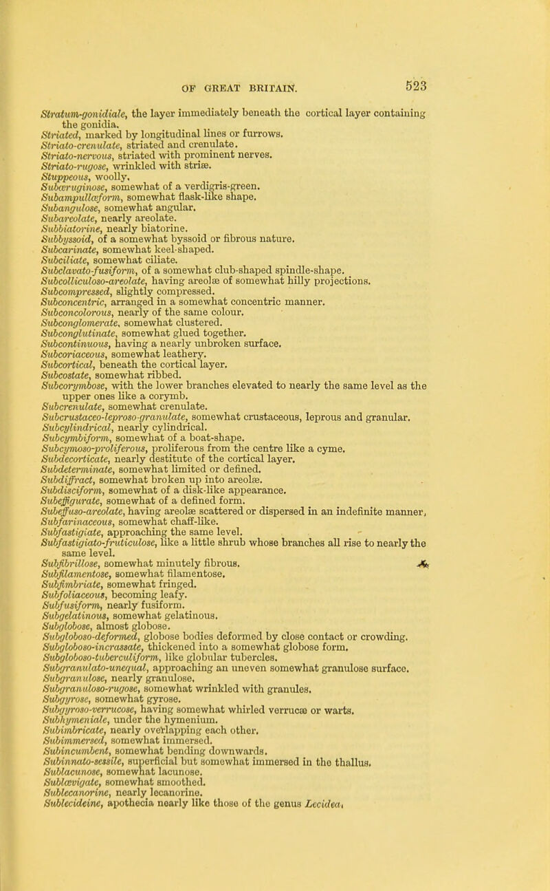 Stratuin-gmiidiale, the layer immediately beneath the cortical layer containing the gonidia. Striated, marked by longitudinal lines or furrows. Striato-a-enulate, striated and crenulate. Striato-nei'vous, striated with prominent nerves. Striato-rugose, wrinkled with stria. Stuppeous, woolly. Subceruginose, somewhat of a verdigris-green. Subampullaform, somewhat flask-like shape. Subangulose, somewhat angular. Subarcolate, nearly areolate. Subbiatorine, nearly biatorine. Subbyssoid, of a somewhat byssoid or fibrous nature. Subcarinate, somewhat keel-shaped. Subcilkite, somewhat ciliate. Subclavato-fusiform, of a somewhat club-shaped spindle-shape. Subcolliculoso-areolate, having areolae of somewhat hilly projections. Subcompi-essed, slightly compressed. Subconcentric, arranged in a somewhat concentric manner. Subconcolorous, nearly of the same colour. Svbconglomerate, somewhat clustered. Subconglutinate, somewhat glued together. Subcontinuous, having a nearly unbroken surface. Subcoriaceous, somewhat leathery. Sxibcortical, beneath the cortical layer. Subcostate, somewhat ribbed. Subcorymbose, with the lower branches elevated to nearly the same level as the upper ones like a corymb. Subcrenulate, somewhat crenulate. Subcrustaceo-leproso-granulate, somewhat crustaceous, leprous and granular. Subcylindrical, nearly cylindrical. Subcyrribiform, somewhat of a boat-shape. Subcymoso-proliferous, proliferous from the centre like a cyme. Subdecorticate, nearly destitute of the cortical layer. Subdeteiminate, somewhat limited or defined. Subdiffract, somewhat broken up into areolae. Subdisciform, somewhat of a disk-like appearance. Subejffigurate, somewhat of a defined form. Subeffuso-areolate, having areolae scattered or dispersed in an indefinite manner, Subfarinaceous, somewhat chaff-like. Subfastigiate, approaching the same level. Subfastigiato-fruticulose, like a little shrub whose branches all rise to nearly the same level. Subfibrillose, somewhat minutely fibrous. Vfe Subfilamentose, somewhat filamentose. Subfimbi-iate, somewhat fringed. Svtifoliaceout, becoming leafy. Subfusiform, nearly fusiform. Subgelatinous, somewhat gelatinous. Subglobosc, almost globose. Subgloboso-deformed, globose bodies deformed by close contact or crowding. Subgloboso-incrassate, thickened into a somewhat globose form. Suhgloboso-tubcrculiform, like globular tubercles. Subgranulato-urwqttal, approaching an uneven somewhat granulose surface. Subgranulose, nearly granulose, Subyranuloso-rwjo8e, somewhat wrinkled with gramiles. Subgyrosc, somewhat gyrose. Subgyroso-vemtcose, having somewhat whirled verrucae or warts. Subhymeniale, under the hymenium. Subunbricate, nearly overlapping each other. Subimmerscd, somewhat immersed. Subincumbcnt, somewhat bending downwards. Subinnato-8C33ilc, superficial but somewhat immersed in tho thallus, Sublacunose, somewhat lacunose. Sublwvigatc, somewhat smoothed. Sublccanorinc, nearly lecanorine. Sublecideine, apothecia nearly like those of the genus Lecidea,