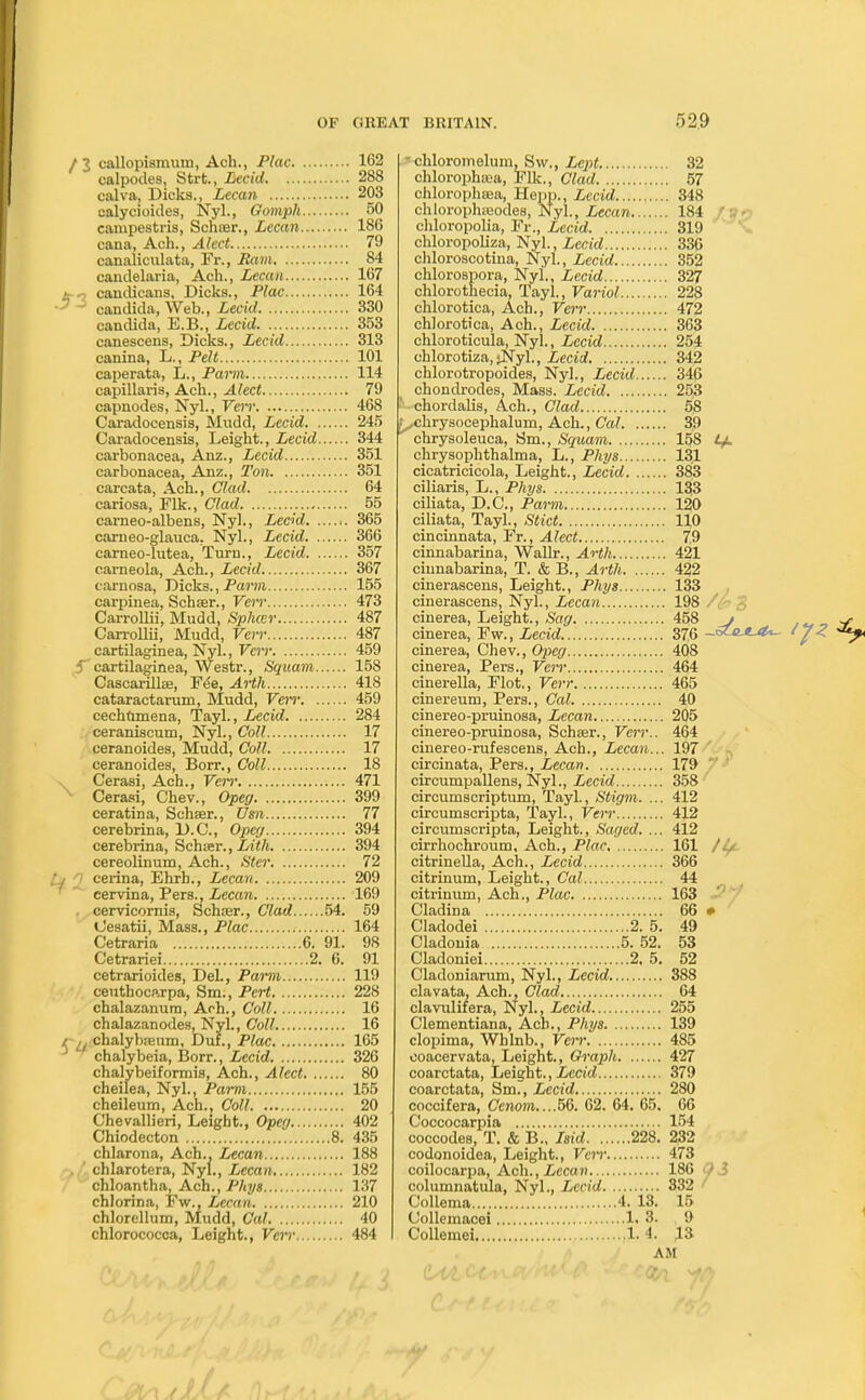 /3 callopiamum, Ach., Plac 162 calpodes, Strt., Lecid 288 calva, Dicks., Lecan 203 calycioides, Nyl., Gomph 50 campestris, Schaer., Lecan 186 eana, Ach., Alect 79 canaliculata, Fr., Bam 84 candelaria, Ach., Lecan 167 t-o candicans, Dicks., Plac 164 •2 ~i Candida, Web., Lecid 330 Candida, E.B., Lecid 353 canescens, Dicks., Lecid 313 canina, L., Pelt 101 caperata, L., Parm 114 capillaris, Ach., Alect 79 capnodes, Nyl., Veil' 468 Caradocensis, Mudd, Lecid 245 Caradocensis, Leight., Lecid 344 carbonacea, Anz., Lecid 351 carbonacea, Anz., Ton 351 carcata, Ach., Clad 64 cariosa, Flk., Clad 55 carneo-albens, Nyl., Lecid 365 carneo-glauca. Nyl., Lecid 366 carneo-lutea, Turn., Lecid 357 carneola, Ach., Lecid 367 carnosa, Dicks., Parm 155 carpinea, Schser., Verr 473 Carrollii, Mudd, Splicer 487 Carrollii, Mudd, Verr 487 cartilaginea, Nyl., Verr 459 f cartilaginea, Westr., Squam 158 Cascarillee, Fee, Arth 418 cataractai-um, Mudd, VeiT 459 cechumena, Tayl., Lecid 284 ceraniscum, Nyl., Coll 17 ceranoides, Mudd, Coll 17 ceranoides, Borr., Coll 18 v Cerasi, Ach., Vein- 471 Cerasi, Chev., Opeg 399 ceratina, Schaer., Vsn 77 cerebrina, D.C., Opeg 394 cerebrina, Schier., Lith 394 cereolinum, Ach., Ster 72 Lj 2 cerina, Ehrh., Lecan 209 ^ ^ cervina, Pers., Lecan 169 cervicornis, Schrer., Clad 54. 59 Cesatii, Mass., Plac 164 Cetraria 6. 91. 98 Cetrariei 2. 6. 91 cetrarioides, Del., Parm 119 ceuthocarpa, Sm., Pert 228 chalazanuro, Aoh., Coll 16 chalazanodes, Nyl., Coll 16 r Lt chalybnsum, Duf., Plac 165 J ^ chalybeia, Borr., Lecid 326 chalybeiformis, Ach., Alect 80 cheilea, Nyl., Parm 155 cheileum, Ach., Coll 20 Chevallieri, Leight., Opeg 402 Chiodecton 8. 435 chlarona, Ach., Lecan 188 chlarotera, Nyl., Lecan 182 chloantha, Ach., Phys 137 chlorina, Fw,, Lecan 210 chlorellum, Mudd, Cal 40 chlorococca, Leight., Verr 484 - chloromelum, Sw., Lept 32 chlorophtea, Flic, Clad 57 chloropluea, Hepp., Lecid 348 chlorophseodes, Nyl., Lecan 184 chloropolia, Fr., Lecid 319 chloropoliza, Nyl., Lecid 336 chloroscotina, Nyl., Lecid 352 chlorospora, Nyl., Lecid 327 chlorothecia, Tayl., Variol 228 chlorotica, Ach., Verr 472 chlorotica, Ach., Lecid 363 chloroticula, Nyl., Lecid 254 chlorotiza, $Nyl., Lecid 342 chlorotropoides, Nyl., Lecid 346 chondrodes, Mass. Lecid 253 chordalis, Ach., Clad 58 f ^chrysocephalum, Ach., Cal 39 ^ chrysoleuca, Sm., Squam 158 Lj. chrysophthalma, L., Phys 131 cicatricicola, Leight., Lecid 383 ciliaris, L., Phys 133 ciliata, D.C., Parm 120 ciliata, Tayl., Stict 110 cincinnata, Fr., Alect 79 cinnabarina, Wallr., Arth 421 cinnabarina, T. & B., Arth 422 cinerascens, Leight., Phys 133 cinerascens, Nyl., Lecan 198 cinerea, Leight., Sag 458 j cinerea, Fw., Lecid 376 'J< cinerea, Chev., Opeg 408 cinerea, Pers., Verr 464 cinerella, Flot., Verr 465 cinereum, Pers., Cal 40 cinereo-pruinosa, Lecan 205 cinereo-pruinosa, Schser., Verr.. 464 cinereo-rufescens, Ach., Lecan... 197 circinata, Pers., Lecan 179 circumpallens, Nyl., Lecid 358 circumscriptum, Tayl., Stigm. ... 412 circumscripta, Tayl., Verr 412 circumscripta, Leight., Sagcd. ... 412 cirrhochroum, Ach., Plac 161 /1/. citrinella, Ach., Lecid 366 citrinum, Leight., Cal 44 citrinum, Ach., Plac 163 Cladina 66 * Cladodei 2. 5. 49 Cladonia 5. 52. 53 Cladoniei 2. 5. 52 Cladoniarum, Nyl., Lecid 388 clavata, Ach., Clad 64 clavulifera, Nyl., Lecid 255 Clementiana, Acb., Phys 139 clopima, Whlnb., Verr 485 ooacervata, Leight., Graph 427 coarctata, Leight., Lecid 379 coarctata, Sm., Lecid 280 coccifera, Cenom....56. 62. 64. 65. 66 Coccocarpia 154 coccodes, T. & B., Isid 228. 232 codonoidea, Leight., Vcit 473 coilocarpa, Ach., Lecan 186 33 columnatula, Nyl., Lecid 332 Collema 4. 13. 15 Collemacei 1. 3. 9 Collemei 1.4. 13 AM