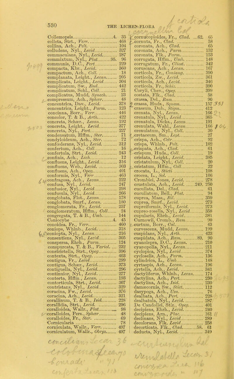 Collemopsis 4. 35 colleta, Strt., Verr 468 collina, Ach., Pelt 104 colludens, Nyl., Lecid 327 commaculans, Nyl., Lecid 287 commixtum, Nyl., Plat 95. 96 ,1 communis, D.C., Pert 229 compacta, Kbr., Lecid 360 compactum, Ach., Coll 18 complanata, Leight., Lecan 205 complicata, Leight., Lecid 304 complicatum, Sw., End 442 complicatum, Schl., Coll 21 complicatus, Mudd, Synech 23 compressum, Ach., Splicer 48 concentrica, Dav., Lecid 378 concentrica, Leight., Parm 123 concinna, Borr., Verr 446 concolor, T. & B., Arth 422 concreta, Schser., Lecan 192 concreta, Leight., Lecid 377 concreta, Nyl., Pert 227 condensatum, Hffm., Ster. 71 condyloideum, Ach., Ster 72 confeederans, Nyl., Lecid 312 confertum, Ach., Coll 16 confertula, Strt., Lecid 243 confinis, Ach., Lich 12 confluens, Leight., Lecid 316 confluens, Web., Lecid 303 confluens, Ach., Opeg 401 conformis, Nyl., Verr 463 ///• confragosa, Ach., Lecan 222 0 ' confusa, Nyl., Lecid 247 confusior, Nyl., Lecid 298 confusula, Nyl., Lecid 266 conglobata, Flot., Lecan 178 conglobata, Smrf., Lecan 180 conglomerata, Fr., Lecid 257 conglomerating Hffm., Coll 24 congregata, T. & B., Umb 144 Coniocybe 4. 45 conoidea, Fr., Verr 460 coniops, Whlnb., Lecid 318 ^\coniopta, Nyl., Lecan 216 consentiens, Nyl., Lecid 305 conspersa, Ehrh., Parm 124 conspurcata, T. & B., Variol. ... 232 constrictella, Strt., Opeg 396 contexta, Strt., Opeg 403 contigua, Fr., Lecid 299 contigua, Sehser., Lecid 373 contiguella, Nyl., Lecid 296 continuior, Nyl., Lecid 277 contorta, Hffm., Lecan 193 contorticula, Strt., Lecid 307 contristans, Nyl., Lecid 329 coracina, Fw., Lecid 376 coracina, Ach., Lecid 321 corallinum, T. & B., Isid 228 corallidia, Strt., Lecid 296 coralloidea, Wallr., Plat 98 ■ coralloides, Pers., Splicer 48 •coralloides, Fr., Ster 69 Cornicularia 78 corniculata, Wallr., Verr 497 corniculatum, Wallr., Obryz 497 ( cornucopioides, Fr., Clad. ...62. 65 - cornuta, Fr., Clad 58 coronata, Ach., Clad 65 coronata, Ach., Parm 152 coronata, Flic, Parm 153 corrugata, Hffm., Umb 148 corrugatum, Fr., Cliost 342 coruscans, Ach., Lecan 167 corticola, Fr., Coniang. 390 corticola, Zw., Lecid 361 corticola, Ach., Lecid 346 corticola, ¥r.,Schiz 390 Coryli, Chev., Opeg 399 costata, Flk., Clad 58 crassa, Del., Ram 90 £crassa, Huds., Squam 157 35) crassum, Dub., Stigm 412 crenata, Nyl., Lecan 166 crenatula, Nyl., Lecid 365 crenatula, Dicks., Lecan 191 crenulata, Wahl., Lecan 166 / 0^ crenulatum, Nyl., Coll 30 ' cretaceum, Sm., Lept 27 crispa, Ach., Cetr 92 crispa, Whlnb., Pelt 102 crispata, Ach., Clad 61 crispurn, Huds., Coll 19 cristata, Leight., Lecid 385 cristatulum, Nyl., Coll 20 - cristatum, Hffm., Coll 22 crocata, L., Sticti 108 crocea, L., Sol 106 Crombiei, Jones, Lecid 278 crustulata, Ach., Lecid 249. 250 cucullata, Del., Clad 61 cucullatum, Bell., Plat 94 cuprea, Mass., Bil 359 cuprea, Smrf., Lecid 273 cupreiformis, Nyl., Lecid 273 cupreo-rosella, Nyl., Lecid 358 cupularis, Ehrh., Lecid 381 Curnowii, Cromb., Ram 90 | curfrum, Borr., Cal 43 curvescens, Mudd, Lecan 199 cuspidans, Nyl., Arth 423 cuspidata, Ach., Ram 89. 90 cyanolepra, D.C., Lecan 210 cyanopolia, Nyl., Lecan 211 cyclopica, Nyl., Lecid 374 cycloselis. Ach., Parm 136 cylindrica, L., Umb 148 cyrtaspis, Ach., Lecan 196 cyrtella, Ach., Lecid 341 dactyliferus, Whlnb., Lecan 174 dactybna, Ach., Pert 230 dactylina, Ach., Isid 230 damcecornis, Sw., Stict 112 dasypoga, Ach., Usn 76 dealbata, Ach., Pert 228 dealbatula, Nyl., Lecid 287 DeCandollei, Stiz., Opeg 401 decipiens, Ehrh., Lecid 240 decipiens, Arn., Plac 161 // declinans, Nyl., Lecid 289 decolorans, Flic. Lecid 258 | decorticata. Flk., Clad 58. 6] I deducta, Nyl., Lecid 349