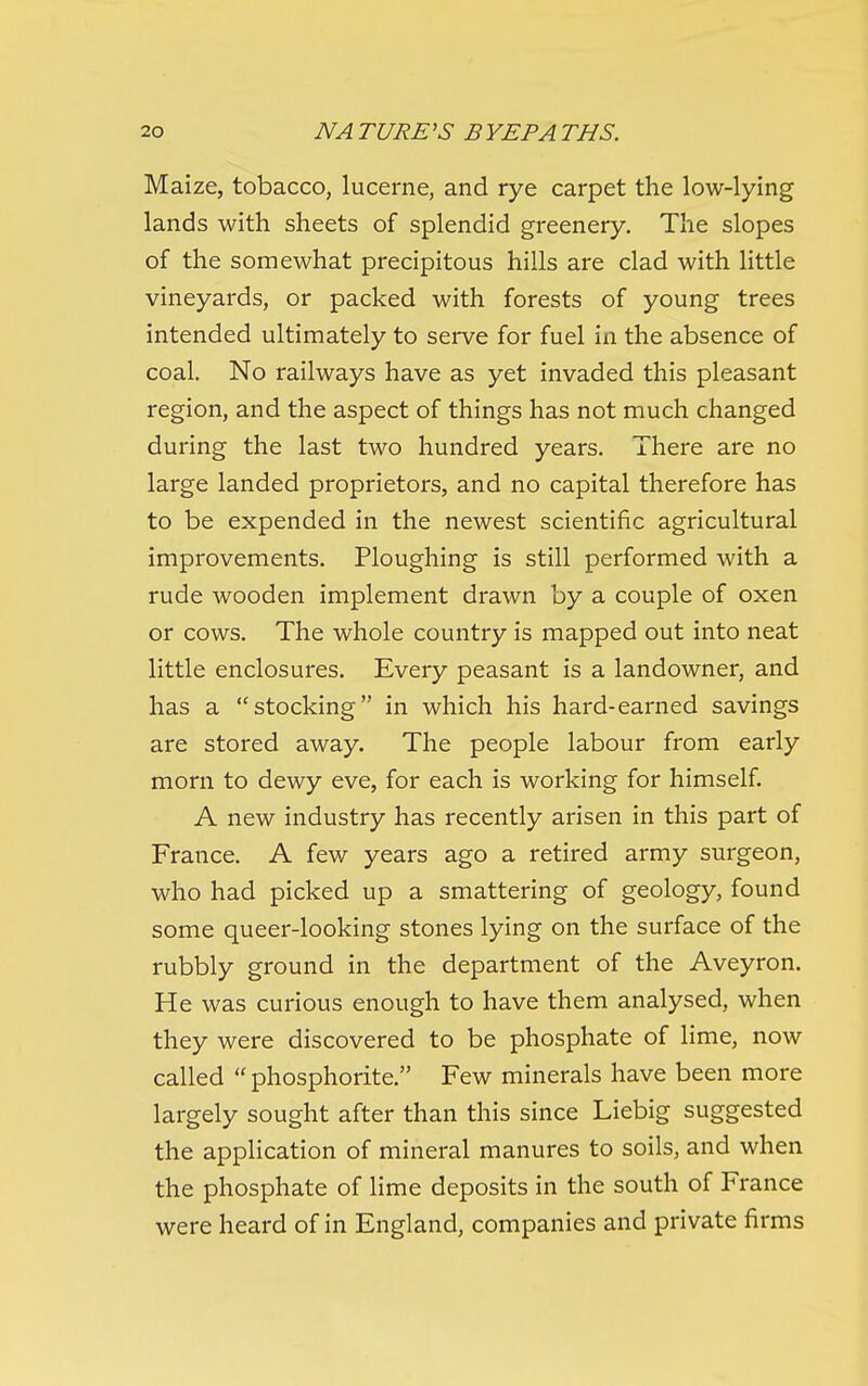 Maize, tobacco, lucerne, and rye carpet the low-lying lands with sheets of splendid greenery. The slopes of the somewhat precipitous hills are clad with little vineyards, or packed with forests of young trees intended ultimately to serve for fuel in the absence of coal. No railways have as yet invaded this pleasant region, and the aspect of things has not much changed during the last two hundred years. There are no large landed proprietors, and no capital therefore has to be expended in the newest scientific agricultural improvements. Ploughing is still performed with a rude wooden implement drawn by a couple of oxen or cows. The whole country is mapped out into neat little enclosures. Every peasant is a landowner, and has a stocking in which his hard-earned savings are stored away. The people labour from early morn to dewy eve, for each is working for himself. A new industry has recently arisen in this part of France. A few years ago a retired army surgeon, who had picked up a smattering of geology, found some queer-looking stones lying on the surface of the rubbly ground in the department of the Aveyron. He was curious enough to have them analysed, when they were discovered to be phosphate of lime, now called  phosphorite. Few minerals have been more largely sought after than this since Liebig suggested the application of mineral manures to soils, and when the phosphate of lime deposits in the south of France were heard of in England, companies and private firms