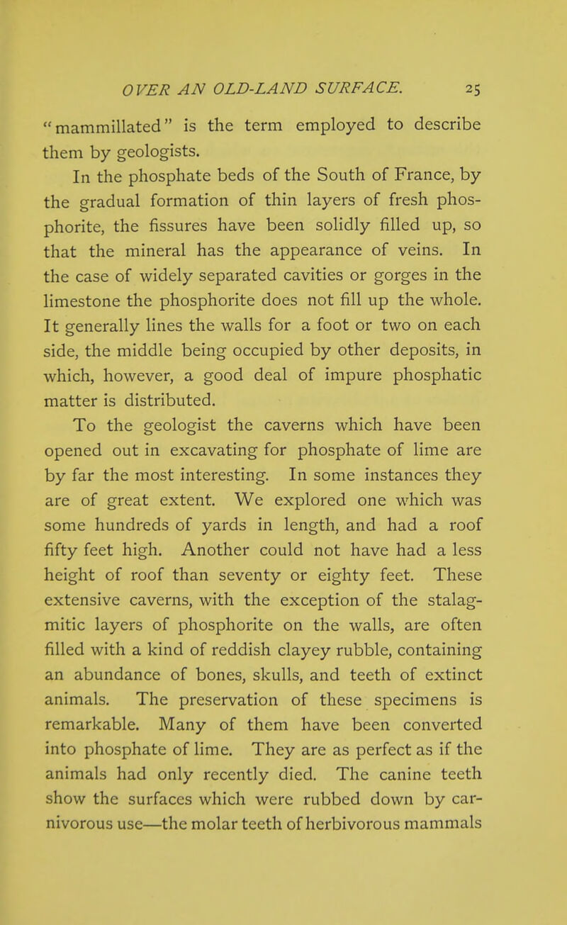 mammillated is the term employed to describe them by geologists. In the phosphate beds of the South of France, by the gradual formation of thin layers of fresh phos- phorite, the fissures have been solidly filled up, so that the mineral has the appearance of veins. In the case of widely separated cavities or gorges in the limestone the phosphorite does not fill up the whole. It generally lines the walls for a foot or two on each side, the middle being occupied by other deposits, in which, however, a good deal of impure phosphatic matter is distributed. To the geologist the caverns which have been opened out in excavating for phosphate of lime are by far the most interesting. In some instances they are of great extent. We explored one which was some hundreds of yards in length, and had a roof fifty feet high. Another could not have had a less height of roof than seventy or eighty feet. These extensive caverns, with the exception of the stalag- mitic layers of phosphorite on the walls, are often filled with a kind of reddish clayey rubble, containing an abundance of bones, skulls, and teeth of extinct animals. The preservation of these specimens is remarkable. Many of them have been converted into phosphate of lime. They are as perfect as if the animals had only recently died. The canine teeth show the surfaces which were rubbed down by car- nivorous use—the molar teeth of herbivorous mammals