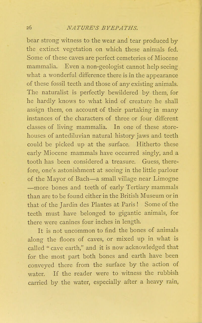 bear strong witness to the wear and tear produced by the extinct vegetation on which these animals fed. Some of these caves are perfect cemeteries of Miocene mammalia. Even a non-geologist cannot help seeing what a wonderful difference there is in the appearance of these fossil teeth and those of any existing animals. The naturalist is perfectly bewildered by them, for he hardly knows to what kind of creature he shall assign them, on account of their partaking in many instances of the characters of three or four different classes of living mammalia. In one of these store- houses of antediluvian natural history jaws and teeth could be picked up at the surface. Hitherto these early Miocene mammals have occurred singly, and a tooth has been considered a treasure. Guess, there- fore, one's astonishment at seeing in the little parlour of the Mayor of Bach—a small village near Limogne —more bones and teeth of early Tertiary mammals than are to be found either in the British Museum or in that of the Jardin des Plantes at Paris ! Some of the teeth must have belonged to gigantic animals, for there were canines four inches in length. It is not uncommon to find the bones of animals along the floors of caves, or mixed up in what is called  cave earth, and it is now acknowledged that for the most part both bones and earth have been conveyed there from the surface by the action of water. If the reader were to witness the rubbish carried by the water, especially after a heavy rain,