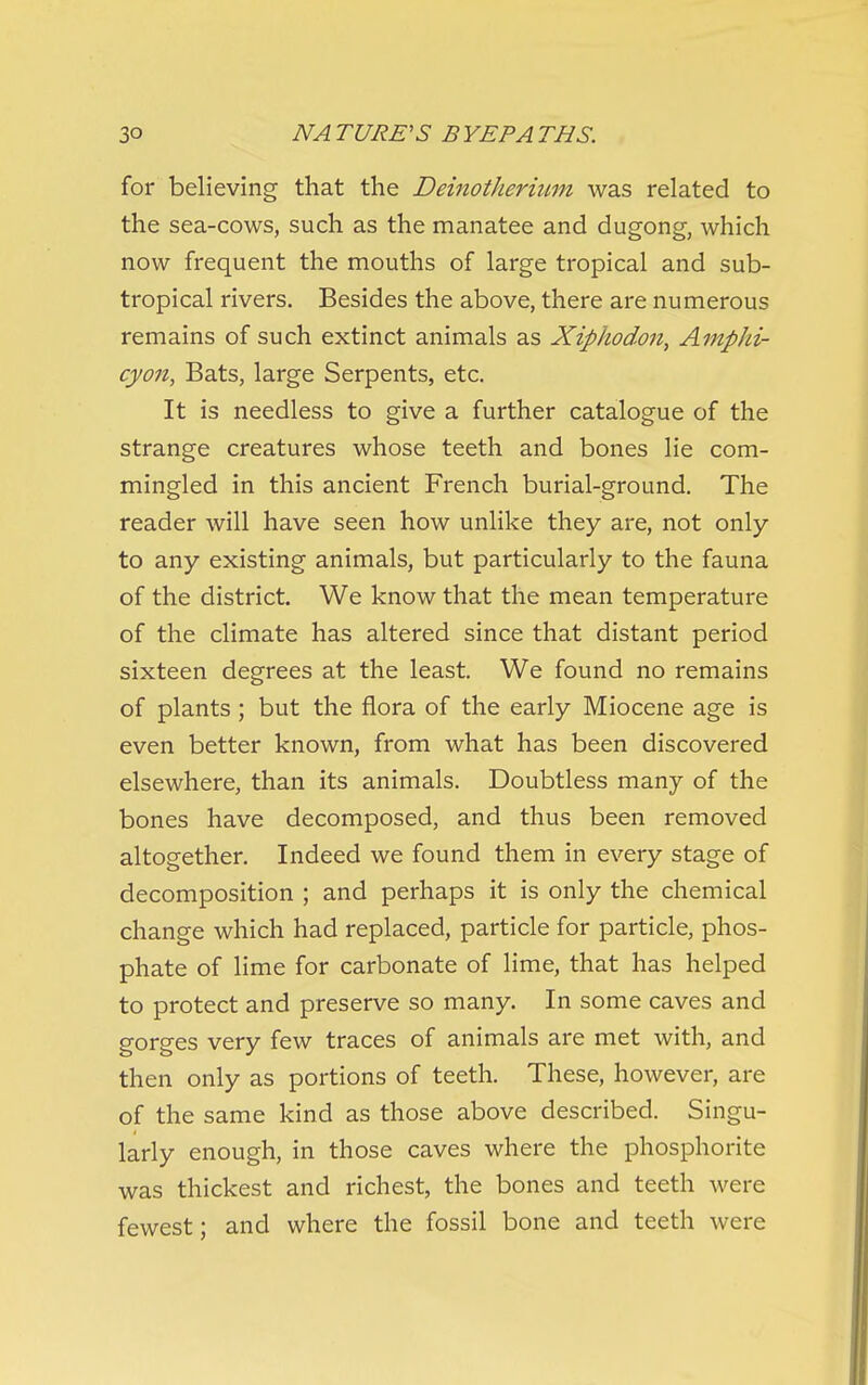 for believing that the Deinotherium was related to the sea-cows, such as the manatee and dugong, which now frequent the mouths of large tropical and sub- tropical rivers. Besides the above, there are numerous remains of such extinct animals as Xiphodon, AmpJii- cyon. Bats, large Serpents, etc. It is needless to give a further catalogue of the strange creatures whose teeth and bones lie com- mingled in this ancient French burial-ground. The reader will have seen how unlike they are, not only to any existing animals, but particularly to the fauna of the district. We know that the mean temperature of the climate has altered since that distant period sixteen degrees at the least. We found no remains of plants; but the flora of the early Miocene age is even better known, from what has been discovered elsewhere, than its animals. Doubtless many of the bones have decomposed, and thus been removed altogether. Indeed we found them in every stage of decomposition ; and perhaps it is only the chemical change which had replaced, particle for particle, phos- phate of lime for carbonate of lime, that has helped to protect and preserve so many. In some caves and gorges very few traces of animals are met with, and then only as portions of teeth. These, however, are of the same kind as those above described. Singu- larly enough, in those caves where the phosphorite was thickest and richest, the bones and teeth were fewest; and where the fossil bone and teeth were