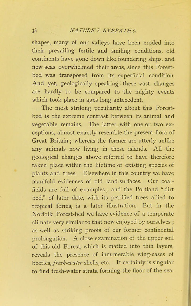 shapes, many of our valleys have been eroded into their prevailing fertile and smiling conditions, old continents have gone down like foundering ships, and new seas overwhelmed their areas, since this Forest- bed was transposed from its superficial condition. And yet, geologically speaking, these vast changes are hardly to be compared to the mighty events which took place in ages long antecedent The most striking peculiarity about this Forest- bed is the extreme contrast between its animal and vegetable remains. The latter, with one or two ex- ceptions, almost exactly resemble the present flora of Great Britain ; whereas the former are utterly unlike any animals now living in these islands. All the geological changes above referred to have therefore taken place within the lifetime of existing species of plants and trees. Elsewhere in this country we have manifold evidences of old land-surfaces. Our coal- fields are full of examples; and the Portland  dirt bed, of later date, with its petrified trees allied to tropical forms, is a later illustration. But in the Norfolk Forest-bed we have evidence of a temperate climate very similar to that now enjoyed by ourselves ; as well as striking proofs of our former continental prolongation. A close examination of the upper soil of this old Forest, which is matted into thin layers, reveals the presence of innumerable wing-cases of fresh-water shells, etc. It certainly is singular to find fresh-water strata forming the floor of the sea.