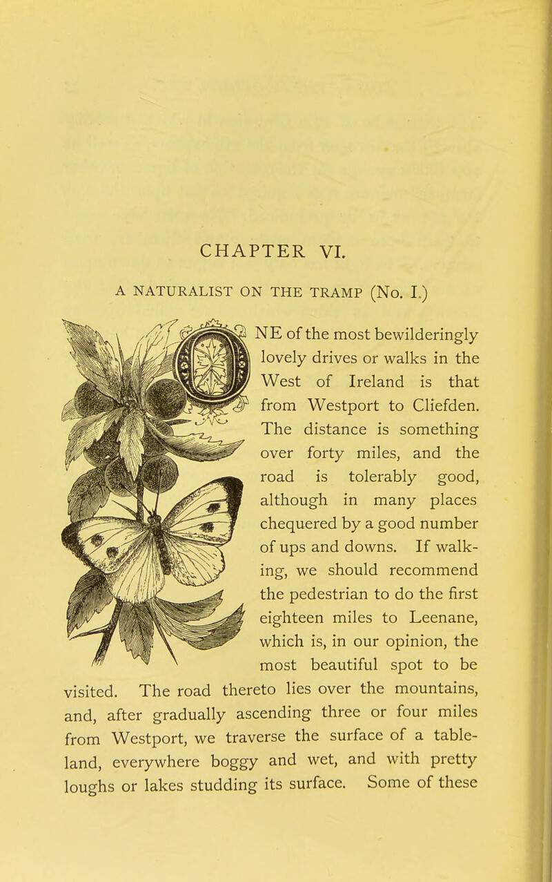 A NATURALIST ON THE TRAMP (No. L) NE of the most bewilderingly lovely drives or walks in the West of Ireland is that from Westport to Cliefden. The distance is something over forty miles, and the road is tolerably good, although in many places chequered by a good number of ups and downs. If walk- ing, we should recommend the pedestrian to do the first eighteen miles to Leenane, which is, in our opinion, the most beautiful spot to be visited. The road thereto lies over the mountains, and, after gradually ascending three or four miles from Westport, we traverse the surface of a table- land, everywhere boggy and wet, and with pretty loughs or lakes studding its surface. Some of these