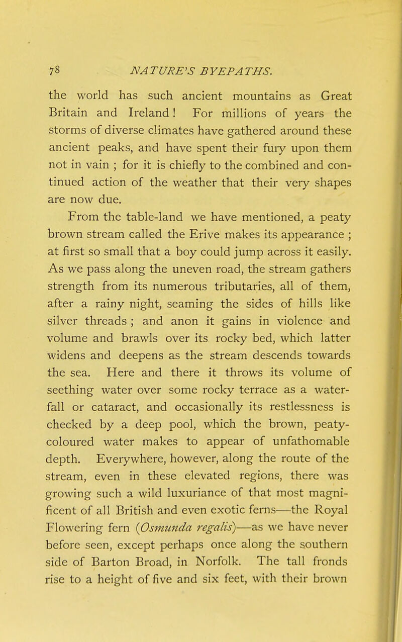 the world has such ancient mountains as Great Britain and Ireland! For millions of years the storms of diverse climates have gathered around these ancient peaks, and have spent their fuiy upon them not in vain ; for it is chiefly to the combined and con- tinued action of the weather that their very shapes are now due. From the table-land we have mentioned, a peaty brown stream called the Erive makes its appearance ; at first so small that a boy could jump across it easily. As we pass along the uneven road, the stream gathers strength from its numerous tributaries, all of them, after a rainy night, seaming the sides of hills like silver threads ; and anon it gains in violence and volume and brawls over its rocky bed, which latter widens and deepens as the stream descends towards the sea. Here and there it throws its volume of seething water over some rocky terrace as a water- fall or cataract, and occasionally its restlessness is checked by a deep pool, which the brown, peaty- coloured water makes to appear of unfathomable depth. Everywhere, however, along the route of the stream, even in these elevated regions, there was growing such a wild luxuriance of that most magni- ficent of all British and even exotic ferns—the Royal Flowering fern {Osmimda regalis)—as we have never before seen, except perhaps once along the southern side of Barton Broad, in Norfolk. The tall fronds rise to a height of five and six feet, with their brown