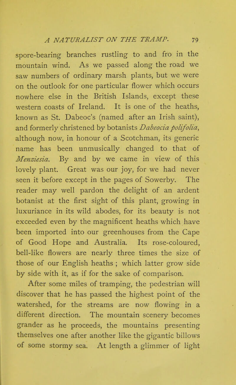 spore-bearing branches rustling to and fro in the mountain wind. As we passed along the road we saw numbers of ordinary marsh plants, but we were on the outlook for one particular flower which occurs nowhere else in the British Islands, except these western coasts of Ireland. It is one of the heaths, known as St. Dabeoc's (named after an Irish saint), and formerly christened by botanists Dabeocia polifolia, although now, in honour of a Scotchman, its generic name has been unmusically changed to that of Menziesia. By and by we came in view of this lovely plant. Great was our joy, for we had never seen it before except in the pages of Sowerby. The reader may well pardon the delight of an ardent botanist at the first sight of this plant, growing in luxuriance in its wild abodes, for its beauty is not exceeded even by the magnificent heaths which have been imported into our greenhouses from the Cape of Good Hope and Australia. Its rose-coloured, bell-like flowers are nearly three times the size of those of our English heaths ; which latter grow side by side with it, as if for the sake of comparison. After some miles of tramping, the pedestrian will discover that he has passed the highest point of the watershed, for the streams are now flowing in a different direction. The mountain scenery becomes grander as he proceeds, the mountains presenting themselves one after another like the gigantic billows of some stormy sea. At length a glimmer of light