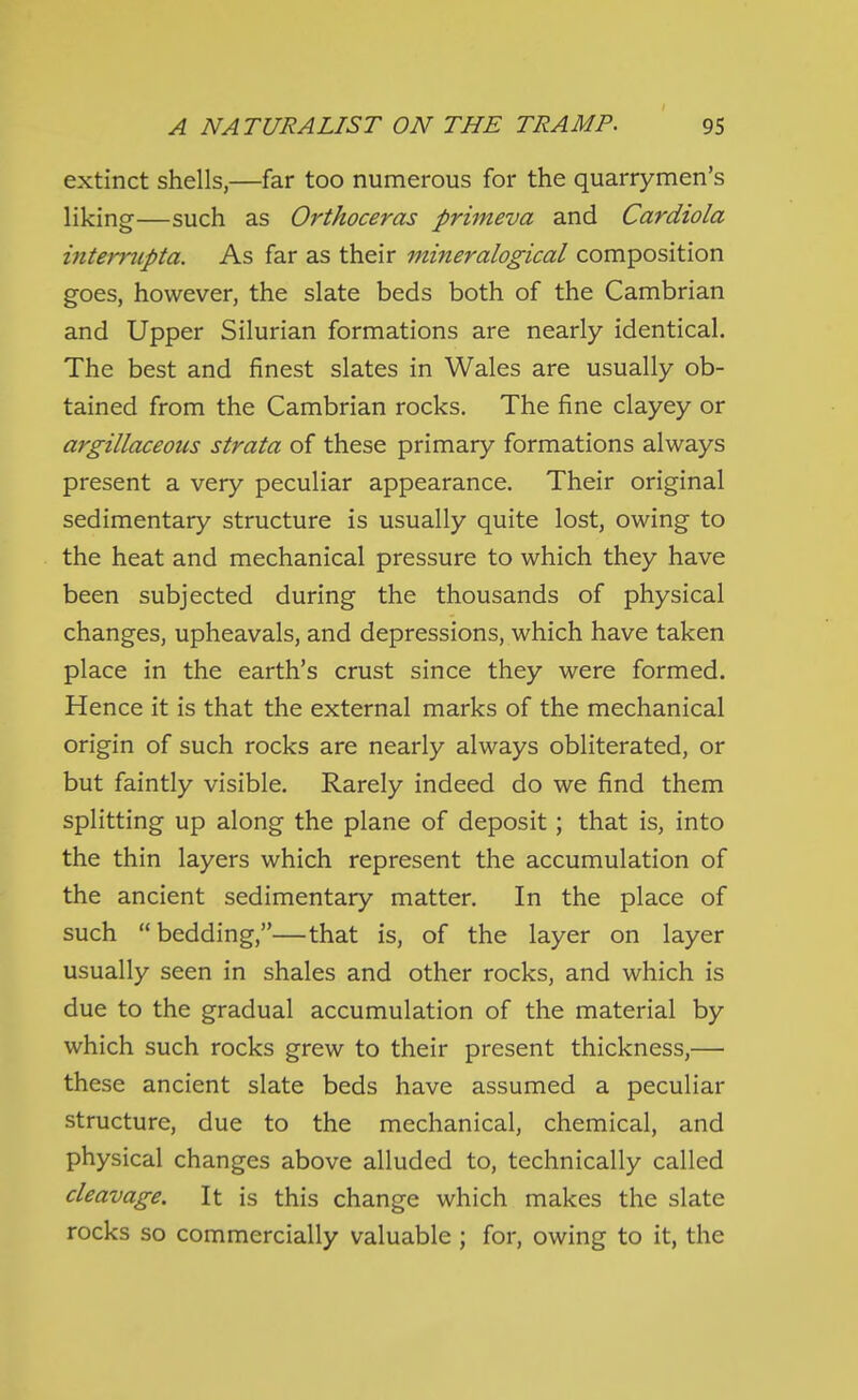 extinct shells,—far too numerous for the quarrymen's liking—such as Orthoceras primeva and Cardiola internipta. As far as their mineralogical composition goes, however, the slate beds both of the Cambrian and Upper Silurian formations are nearly identical. The best and finest slates in Wales are usually ob- tained from the Cambrian rocks. The fine clayey or argillaceous strata of these primary formations always present a very peculiar appearance. Their original sedimentary structure is usually quite lost, owing to the heat and mechanical pressure to which they have been subjected during the thousands of physical changes, upheavals, and depressions, which have taken place in the earth's crust since they were formed. Hence it is that the external marks of the mechanical origin of such rocks are nearly always obliterated, or but faintly visible. Rarely indeed do we find them splitting up along the plane of deposit; that is, into the thin layers which represent the accumulation of the ancient sedimentary matter. In the place of such bedding,—that is, of the layer on layer usually seen in shales and other rocks, and which is due to the gradual accumulation of the material by which such rocks grew to their present thickness,— these ancient slate beds have assumed a peculiar structure, due to the mechanical, chemical, and physical changes above alluded to, technically called cleavage. It is this change which makes the slate rocks so commercially valuable ; for, owing to it, the