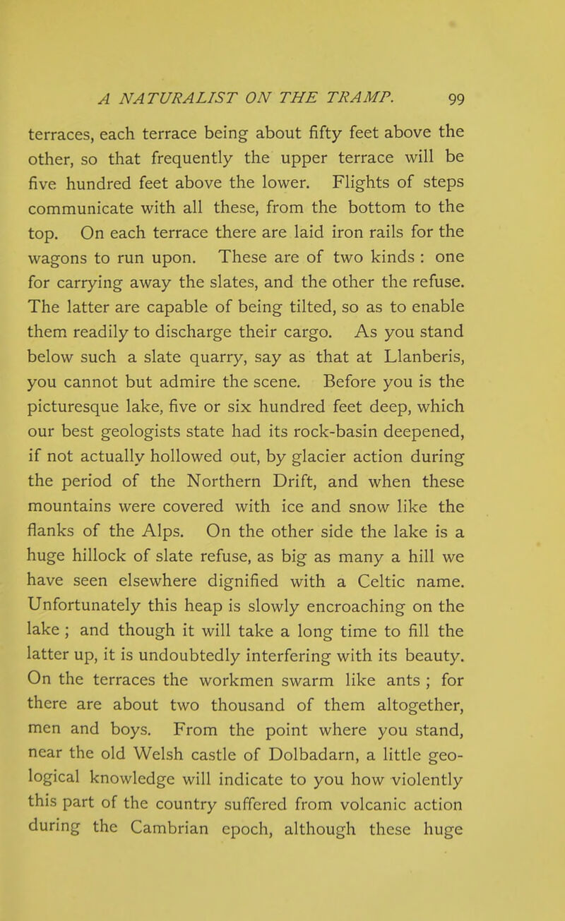 terraces, each terrace being about fifty feet above the other, so that frequently the upper terrace will be five hundred feet above the lower. Flights of steps communicate with all these, from the bottom to the top. On each terrace there are laid iron rails for the wagons to run upon. These are of two kinds : one for carrying away the slates, and the other the refuse. The latter are capable of being tilted, so as to enable them readily to discharge their cargo. As you stand below such a slate quarry, say as that at Llanberis, you cannot but admire the scene. Before you is the picturesque lake, five or six hundred feet deep, which our best geologists state had its rock-basin deepened, if not actually hollowed out, by glacier action during the period of the Northern Drift, and when these mountains were covered with ice and snow like the flanks of the Alps. On the other side the lake is a huge hillock of slate refuse, as big as many a hill we have seen elsewhere dignified with a Celtic name. Unfortunately this heap is slowly encroaching on the lake ; and though it will take a long time to fill the latter up, it is undoubtedly interfering with its beauty. On the terraces the workmen swarm like ants ; for there are about two thousand of them altogether, men and boys. From the point where you stand, near the old Welsh castle of Dolbadarn, a little geo- logical knowledge will indicate to you how violently this part of the country suffered from volcanic action during the Cambrian epoch, although these huge