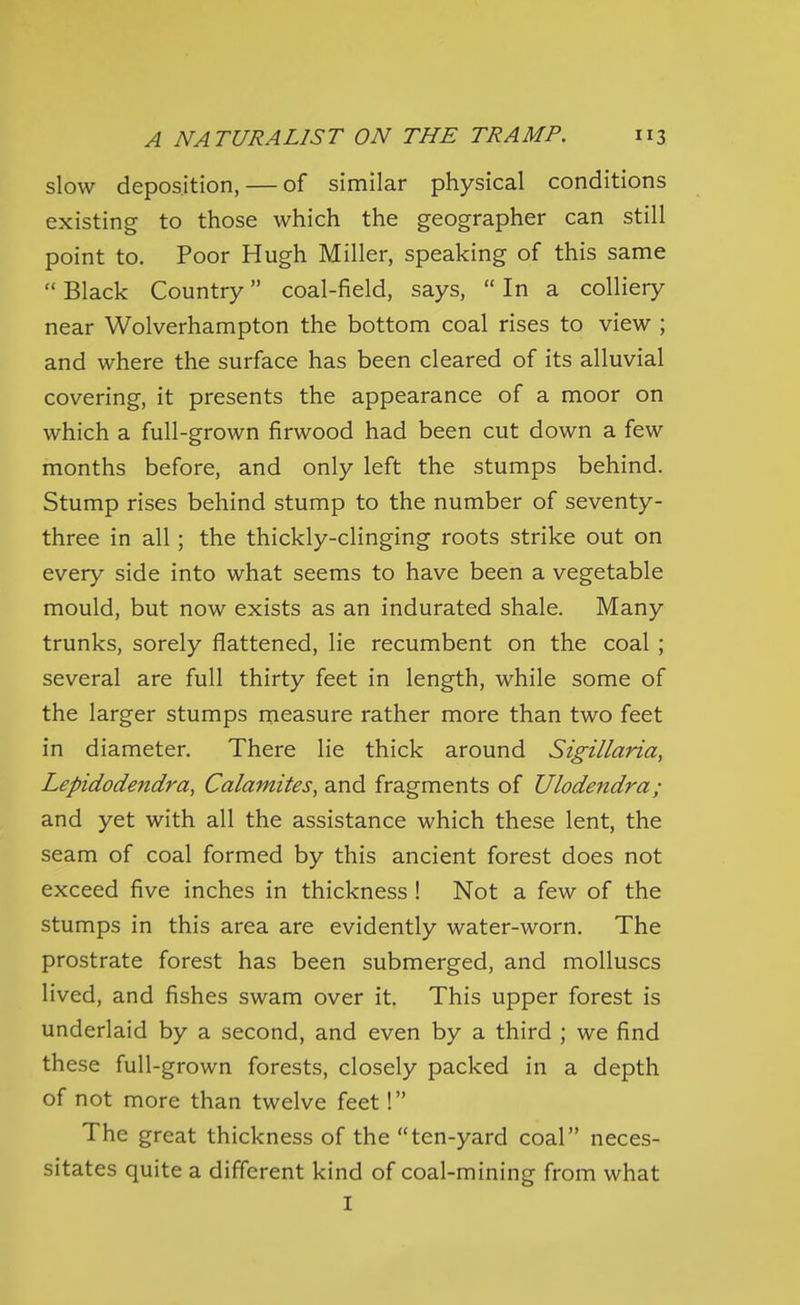 slow deposition, — of similar physical conditions existing to those which the geographer can still point to. Poor Hugh Miller, speaking of this same  Black Country coal-field, says,  In a colliery near Wolverhampton the bottom coal rises to view ; and where the surface has been cleared of its alluvial covering, it presents the appearance of a moor on which a full-grown firwood had been cut down a few months before, and only left the stumps behind. Stump rises behind stump to the number of seventy- three in all; the thickly-clinging roots strike out on every side into what seems to have been a vegetable mould, but now exists as an indurated shale. Many trunks, sorely flattened, lie recumbent on the coal ; several are full thirty feet in length, while some of the larger stumps measure rather more than two feet in diameter. There lie thick around Sigillaria, Lepidodendra, Calamifes, and fragments of Ulodendra; and yet with all the assistance which these lent, the seam of coal formed by this ancient forest does not exceed five inches in thickness ! Not a few of the stumps in this area are evidently water-worn. The prostrate forest has been submerged, and molluscs lived, and fishes swam over it. This upper forest is underlaid by a second, and even by a third ; we find these full-grown forests, closely packed in a depth of not more than twelve feet! The great thickness of the ten-yard coal neces- sitates quite a different kind of coal-mining from what I