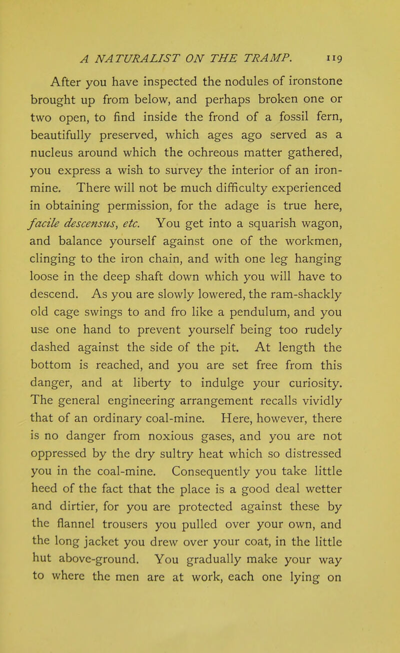 After you have inspected the nodules of ironstone brought up from below, and perhaps broken one or two open, to find inside the frond of a fossil fern, beautifully preserved, which ages ago served as a nucleus around which the ochreous matter gathered, you express a wish to survey the interior of an iron- mine. There will not be much difficulty experienced in obtaining permission, for the adage is true here, facile descensus, etc. You get into a squarish wagon, and balance yourself against one of the workmen, clinging to the iron chain, and with one leg hanging loose in the deep shaft down which you will have to descend. As you are slowly lowered, the ram-shackly old cage swings to and fro like a pendulum, and you use one hand to prevent yourself being too rudely dashed against the side of the pit. At length the bottom is reached, and you are set free from this danger, and at liberty to indulge your curiosity. The general engineering arrangement recalls vividly that of an ordinary coal-mine. Here, however, there is no danger from noxious gases, and you are not oppressed by the dry sultry heat which so distressed you in the coal-mine. Consequently you take little heed of the fact that the place is a good deal wetter and dirtier, for you are protected against these by the flannel trousers you pulled over your own, and the long jacket you drew over your coat, in the little hut above-ground. You gradually make your way to where the men are at work, each one lying on