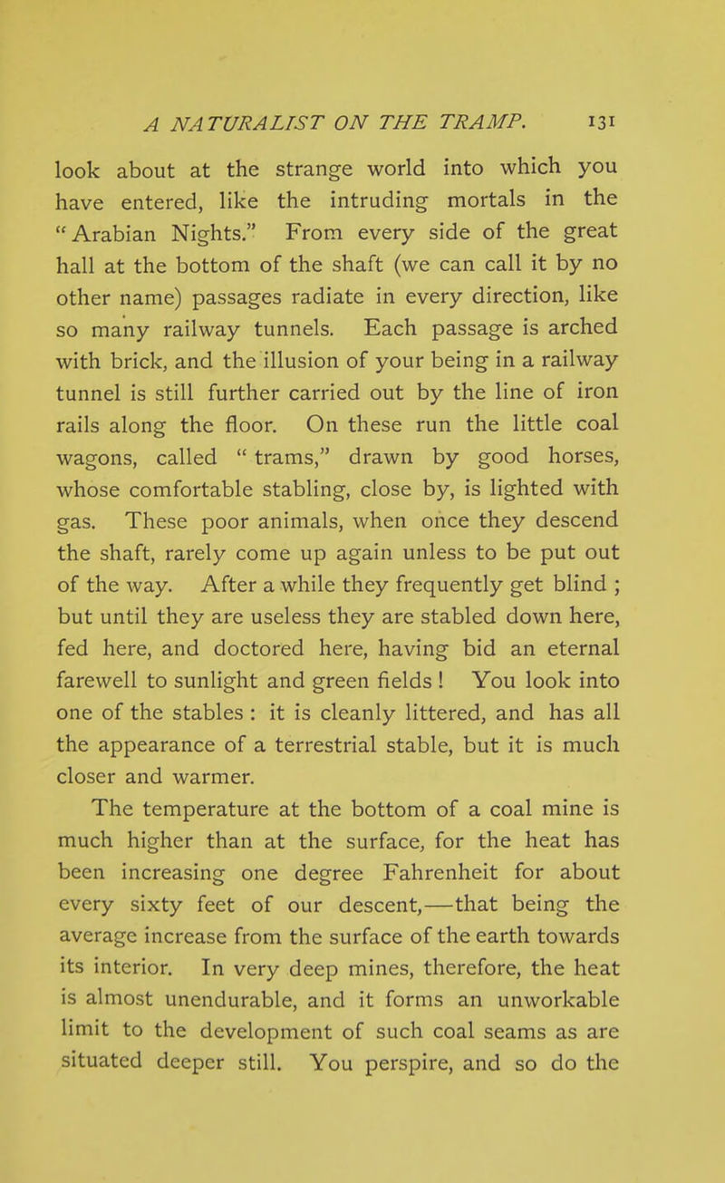 look about at the strange world into which you have entered, like the intruding mortals in the Arabian Nights, From every side of the great hall at the bottom of the shaft (we can call it by no other name) passages radiate in every direction, like so many railway tunnels. Each passage is arched with brick, and the illusion of your being in a railway tunnel is still further carried out by the line of iron rails along the floor. On these run the little coal wagons, called  trams, drawn by good horses, whose comfortable stabling, close by, is lighted with gas. These poor animals, when once they descend the shaft, rarely come up again unless to be put out of the way. After a while they frequently get blind ; but until they are useless they are stabled down here, fed here, and doctored here, having bid an eternal farewell to sunlight and green fields ! You look into one of the stables : it is cleanly littered, and has all the appearance of a terrestrial stable, but it is much closer and warmer. The temperature at the bottom of a coal mine is much higher than at the surface, for the heat has been increasing one degree Fahrenheit for about every sixty feet of our descent,—that being the average increase from the surface of the earth towards its interior. In very deep mines, therefore, the heat is almost unendurable, and it forms an unworkable limit to the development of such coal seams as are situated deeper still. You perspire, and so do the